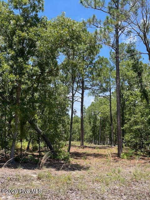0 Bear Branch Drive Property Photo 7