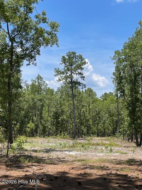 0 Bear Branch Drive Property Photo 8