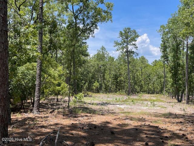 0 Bear Branch Drive Property Photo 9