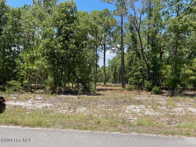 0 Bear Branch Drive Property Photo 10