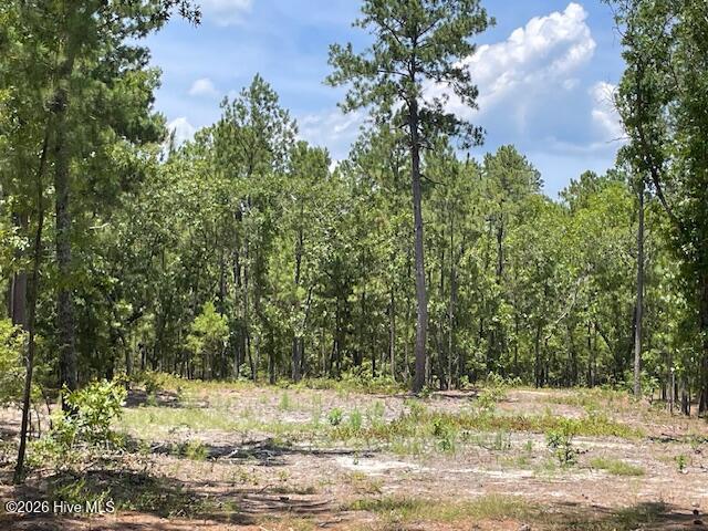0 Bear Branch Drive Property Photo 11