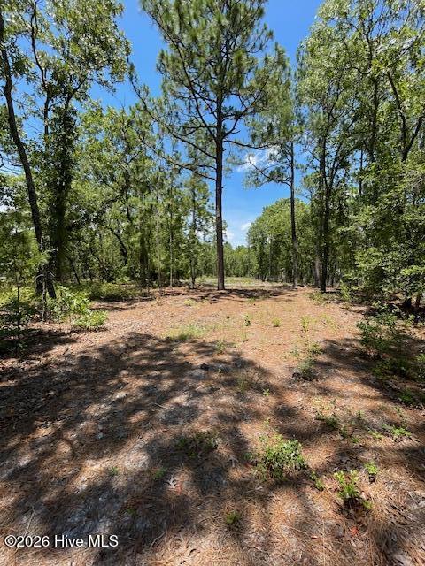 0 Bear Branch Drive Property Photo 12