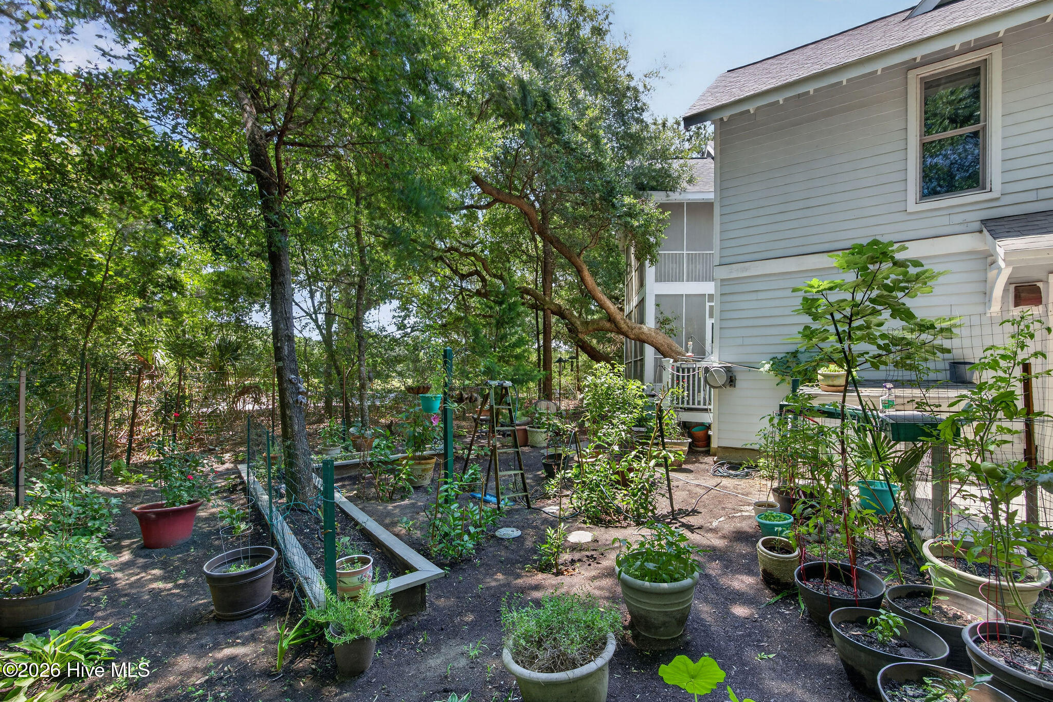 6 Clapper Rail Court Property Photo 49