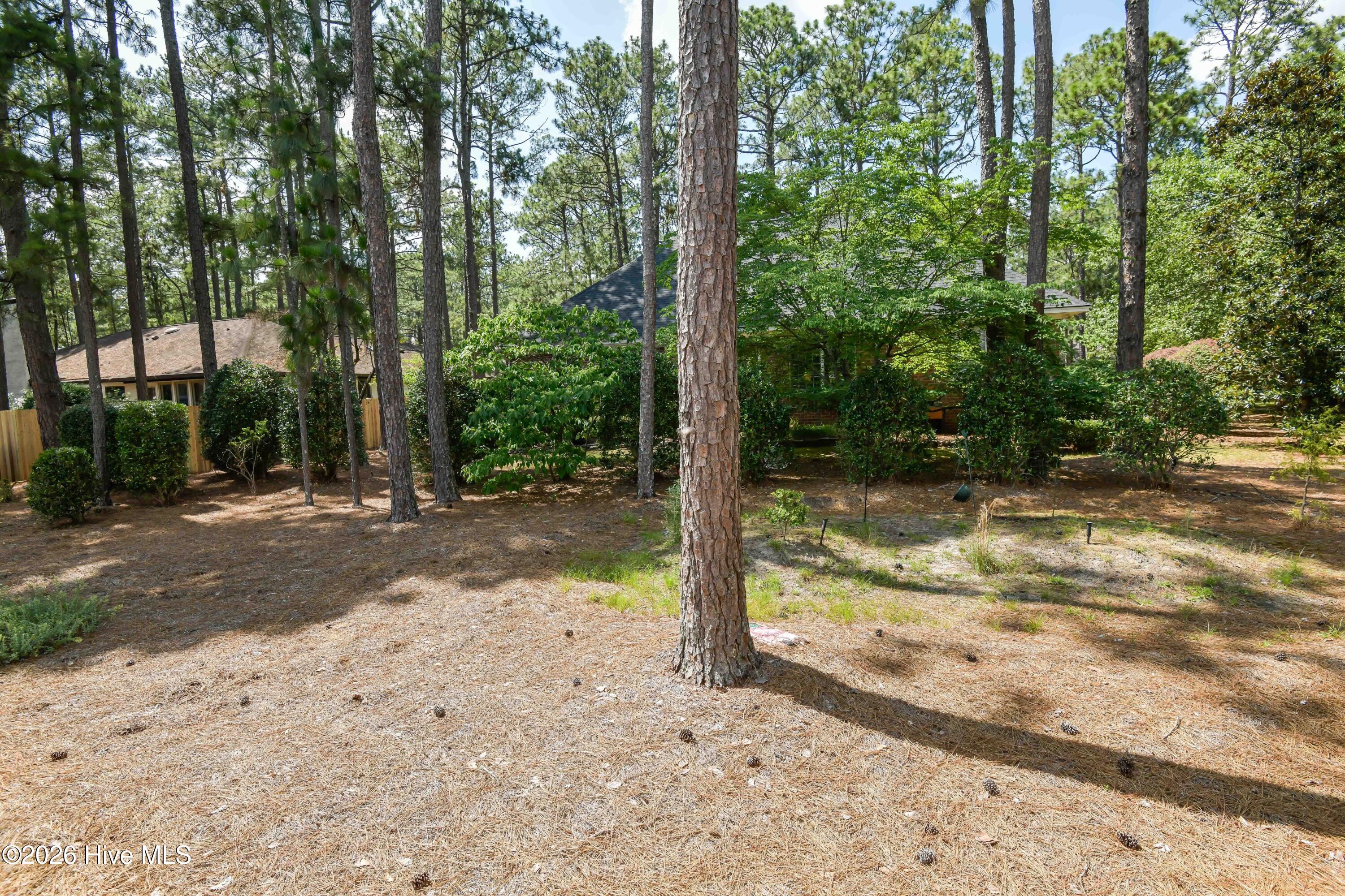 3 Pin Cherry Lane Property Photo 34
