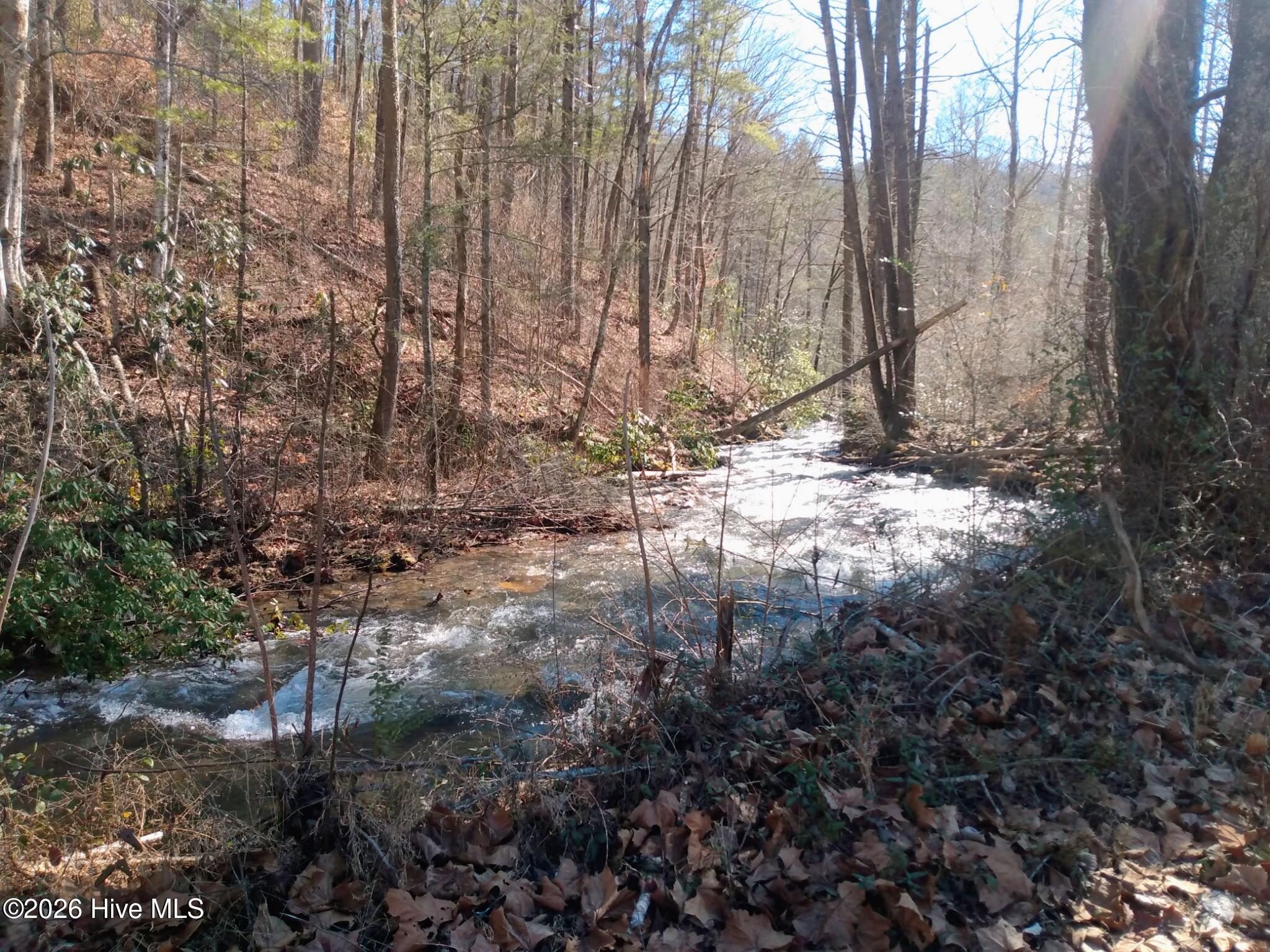 1412 Dicks Creek Road Property Photo 5