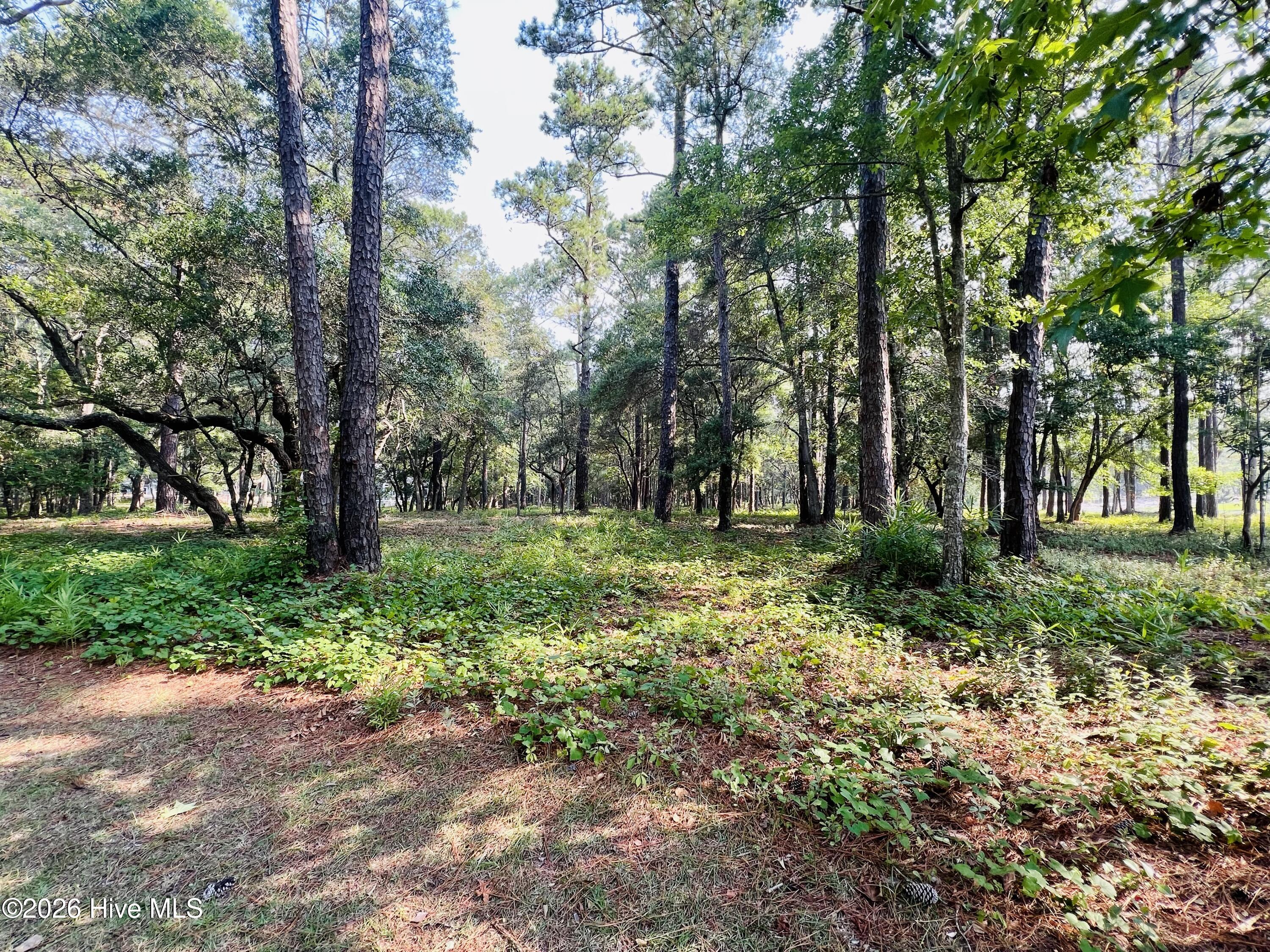 834 Blue Gill Court Se Property Photo 2