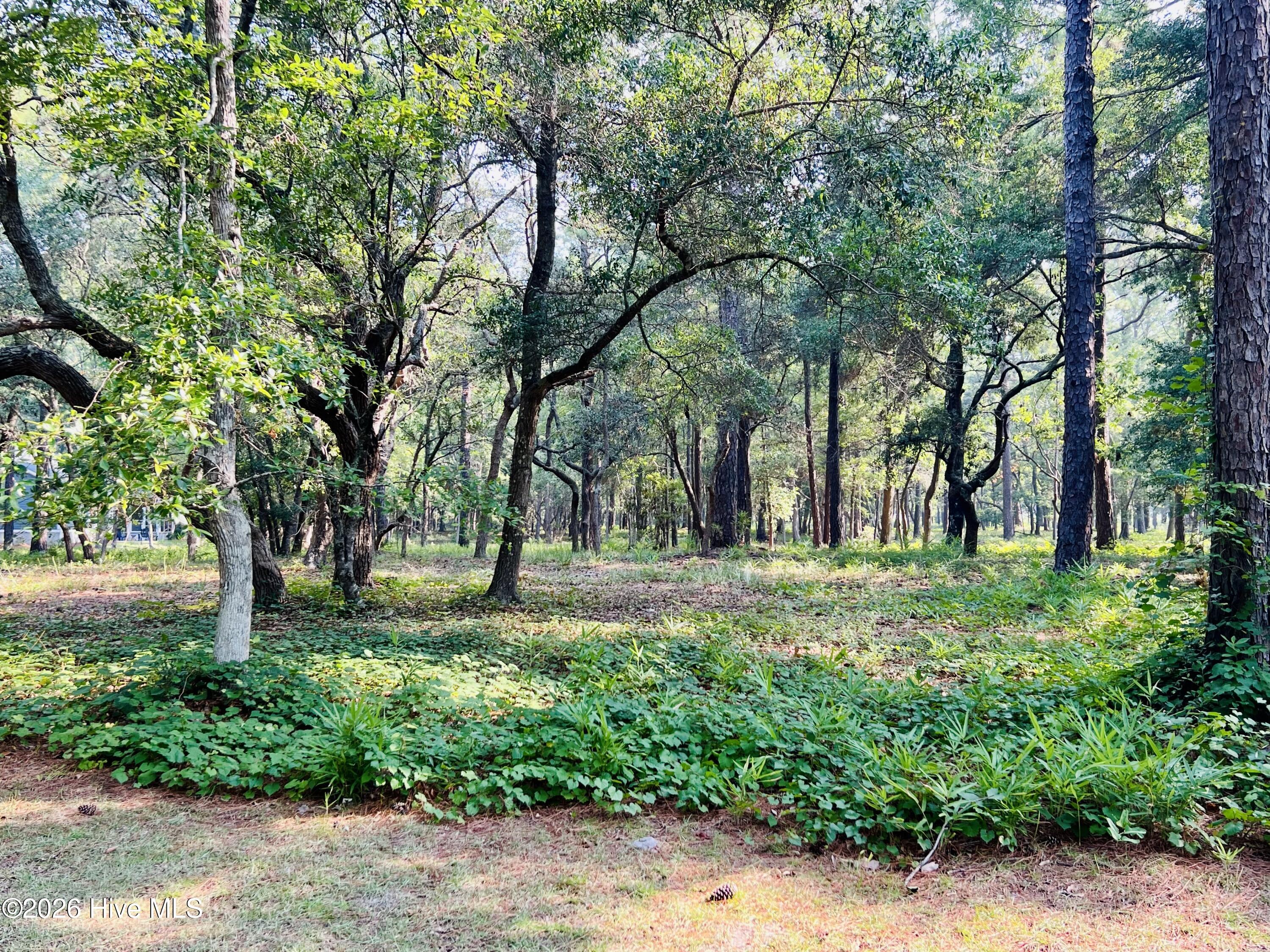 834 Blue Gill Court Se Property Photo 3