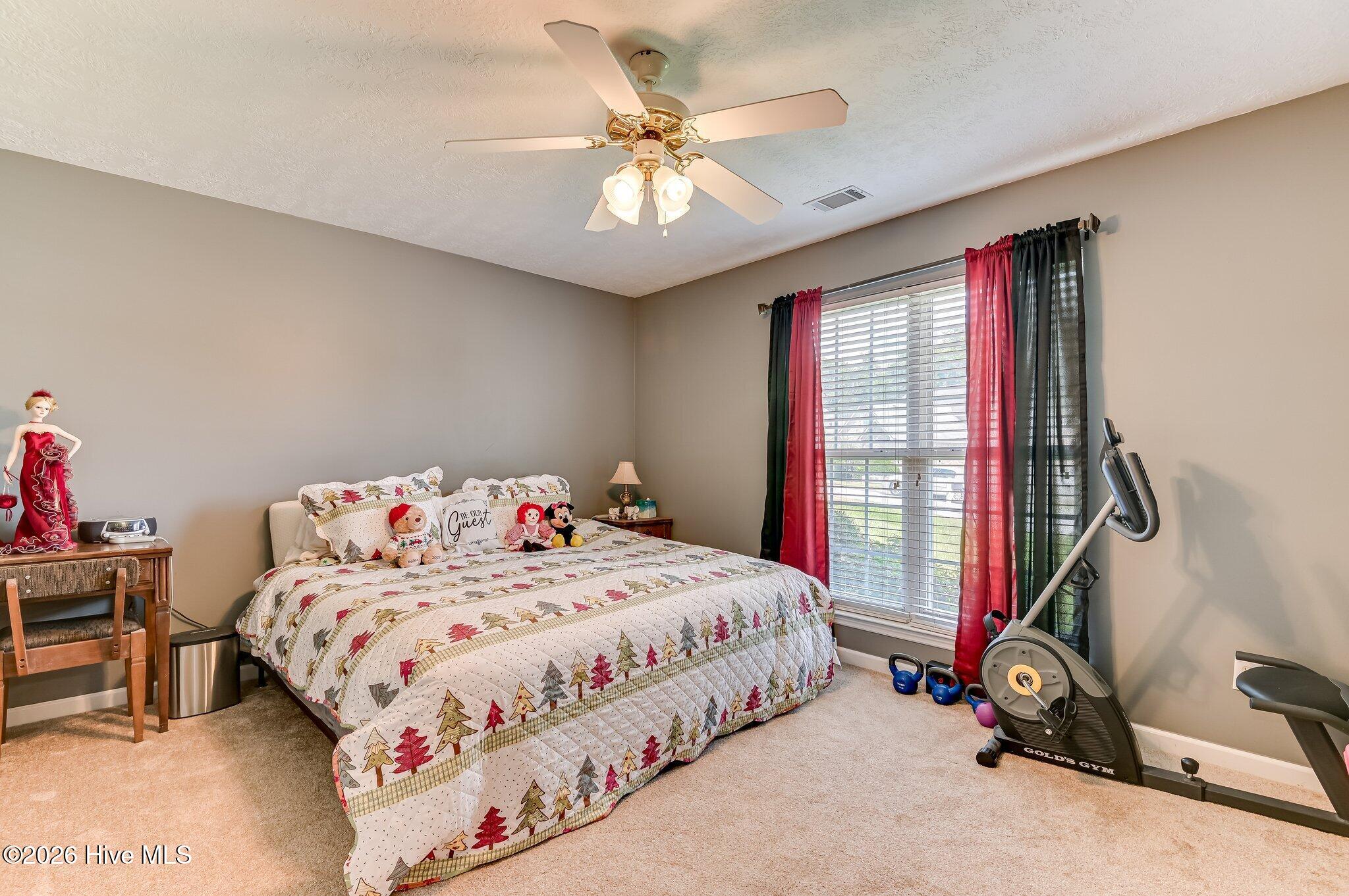 207 Mineral Court Property Photo 30