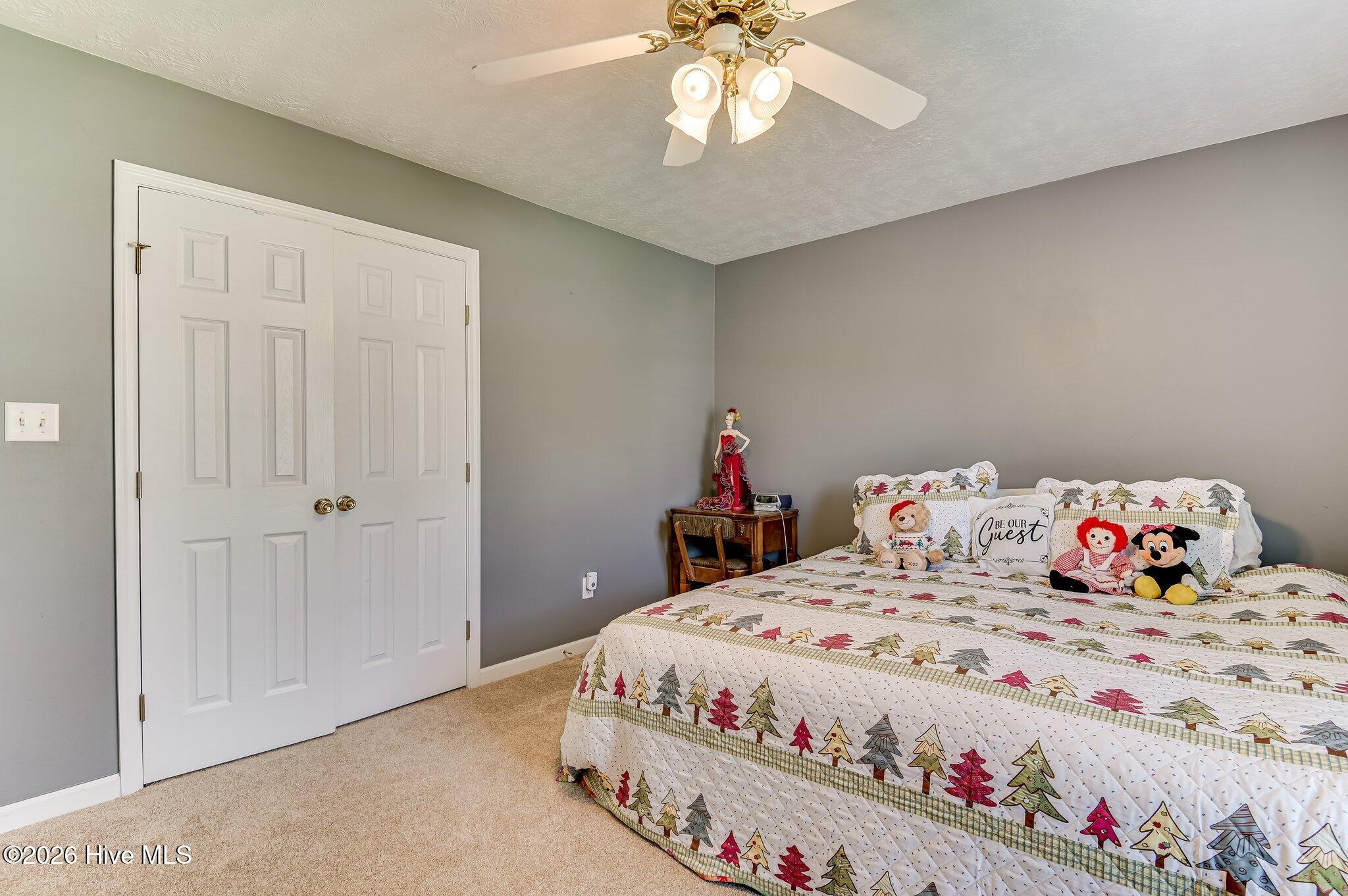 207 Mineral Court Property Photo 31