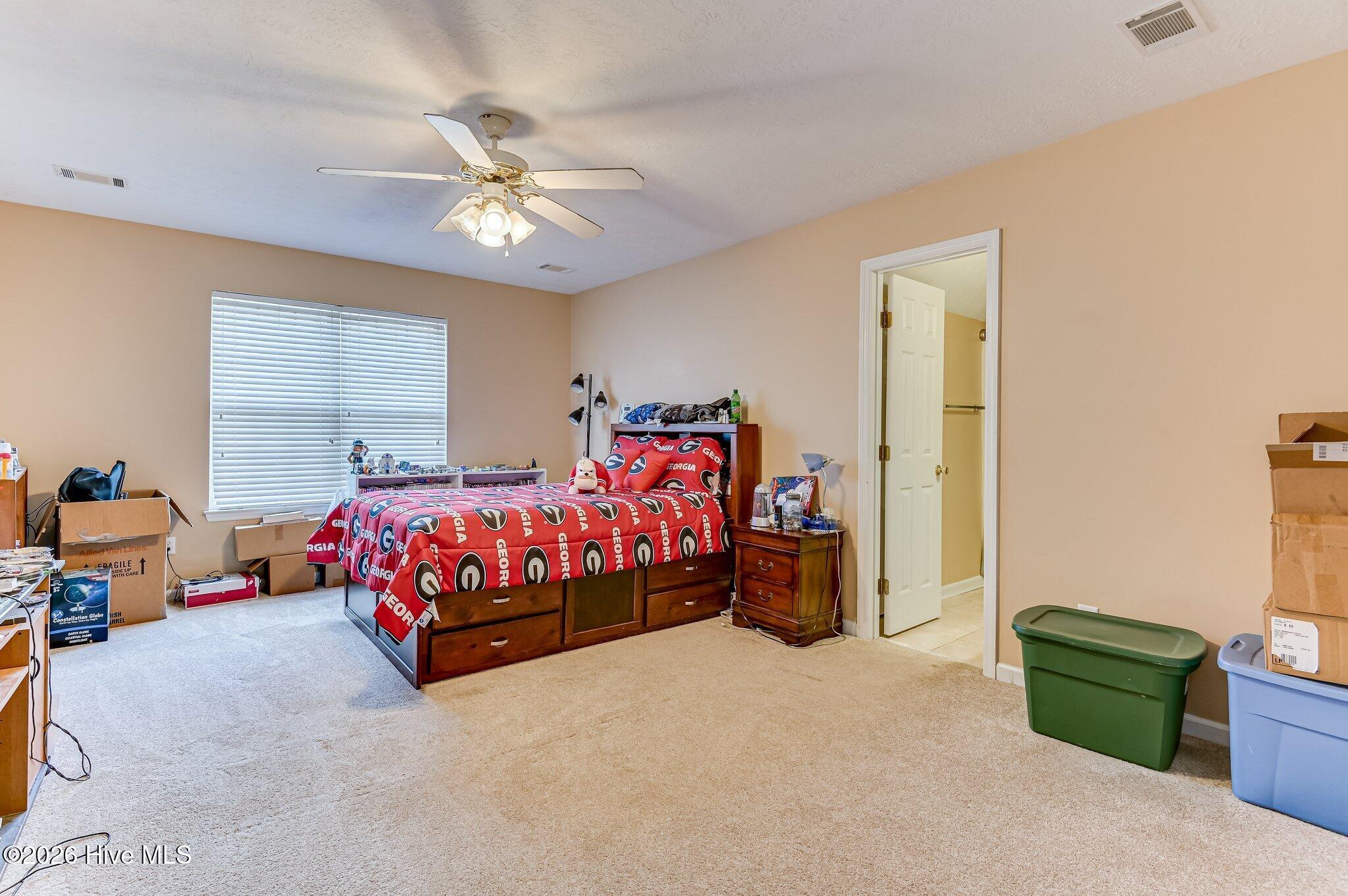 207 Mineral Court Property Photo 32