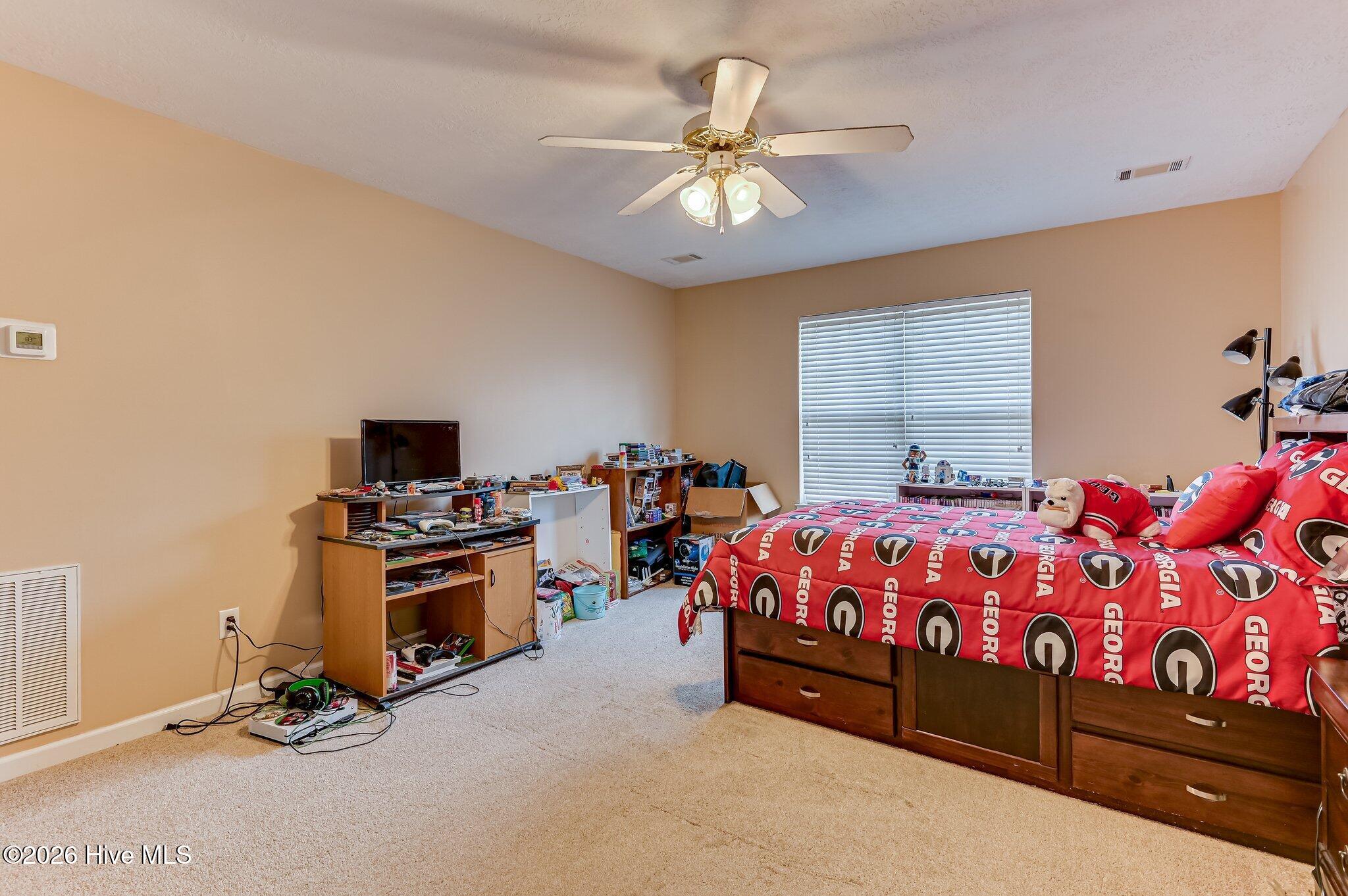207 Mineral Court Property Photo 33