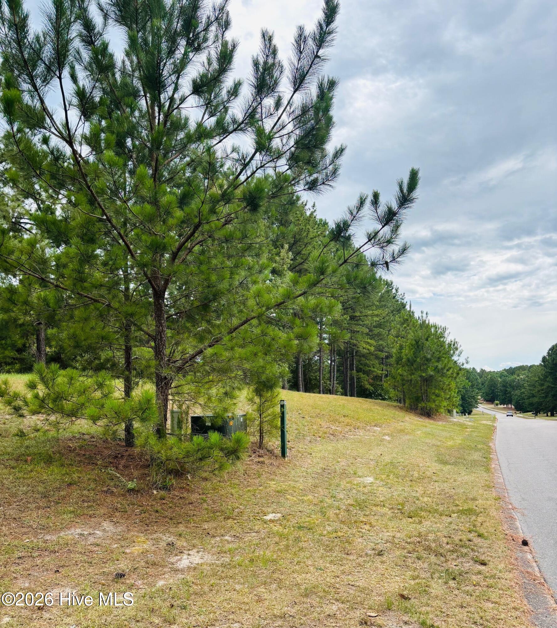 740 338 Broken Ridge Trail Property Photo 2