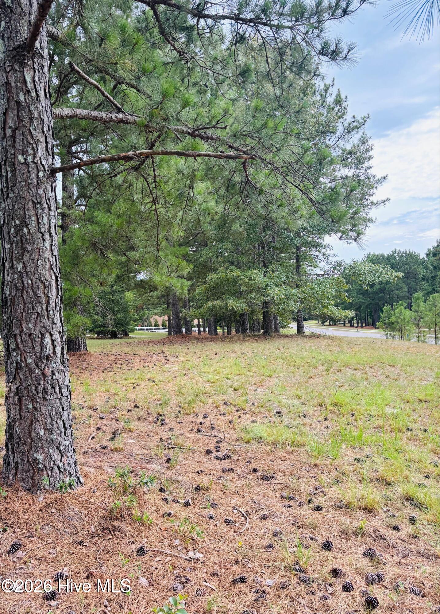 740 338 Broken Ridge Trail Property Photo 3