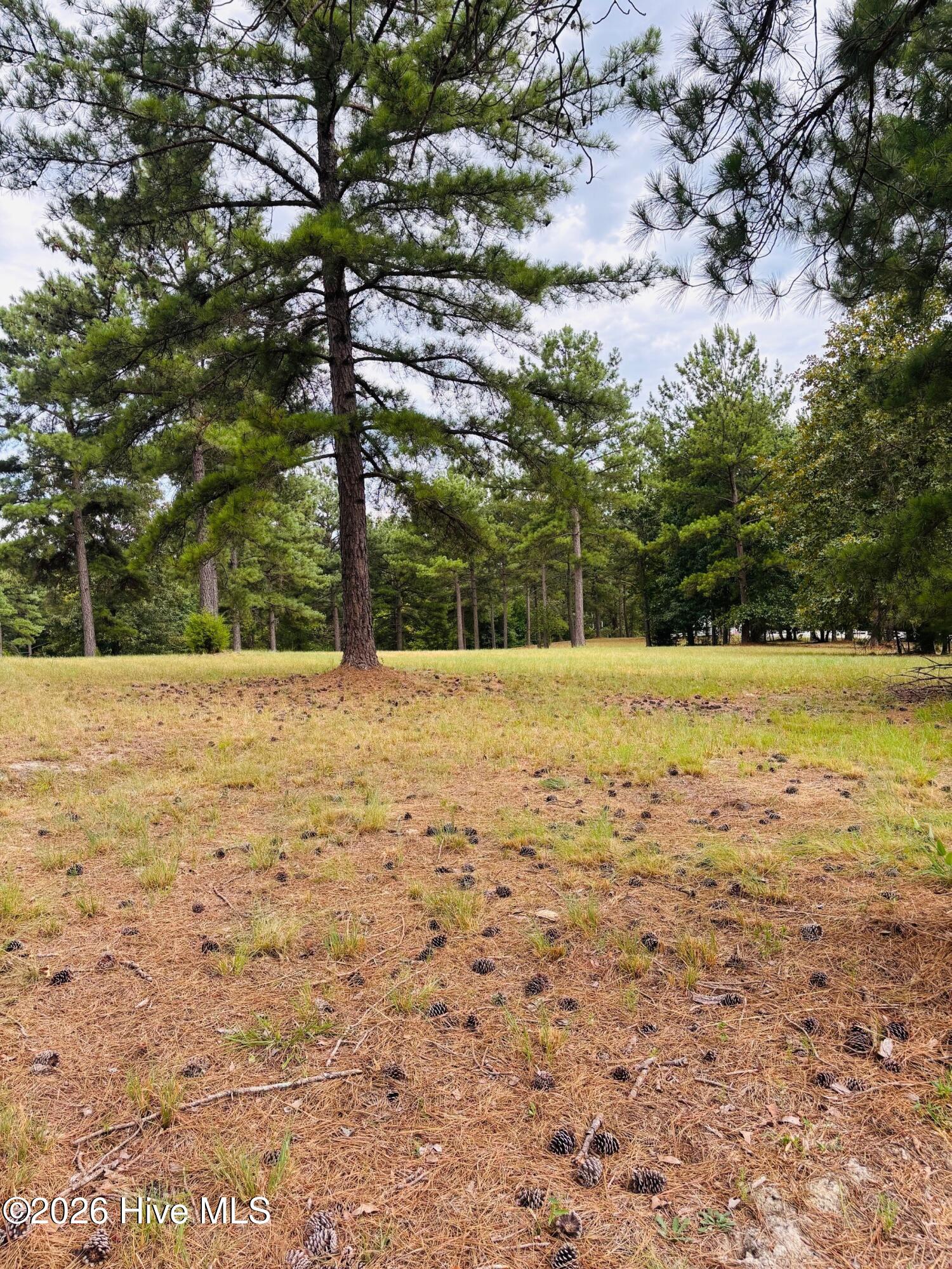 740 338 Broken Ridge Trail Property Photo 4