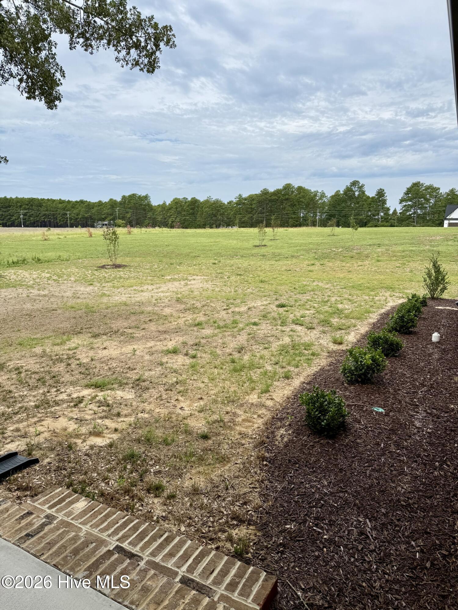 158 Spring Meadows Drive Property Photo 22