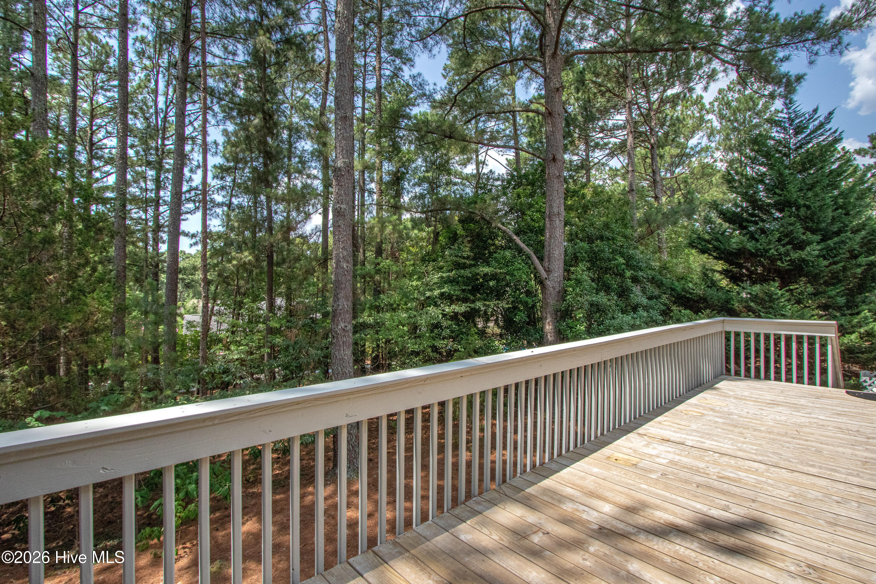 170 Pine Vista Drive Property Photo 45
