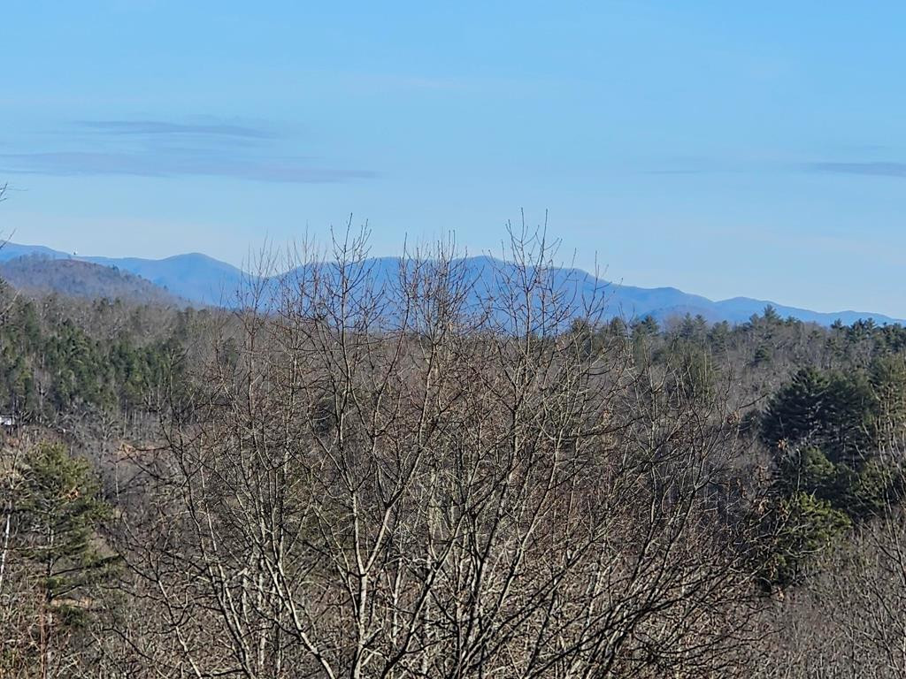 126 River Top View Property Photo 19