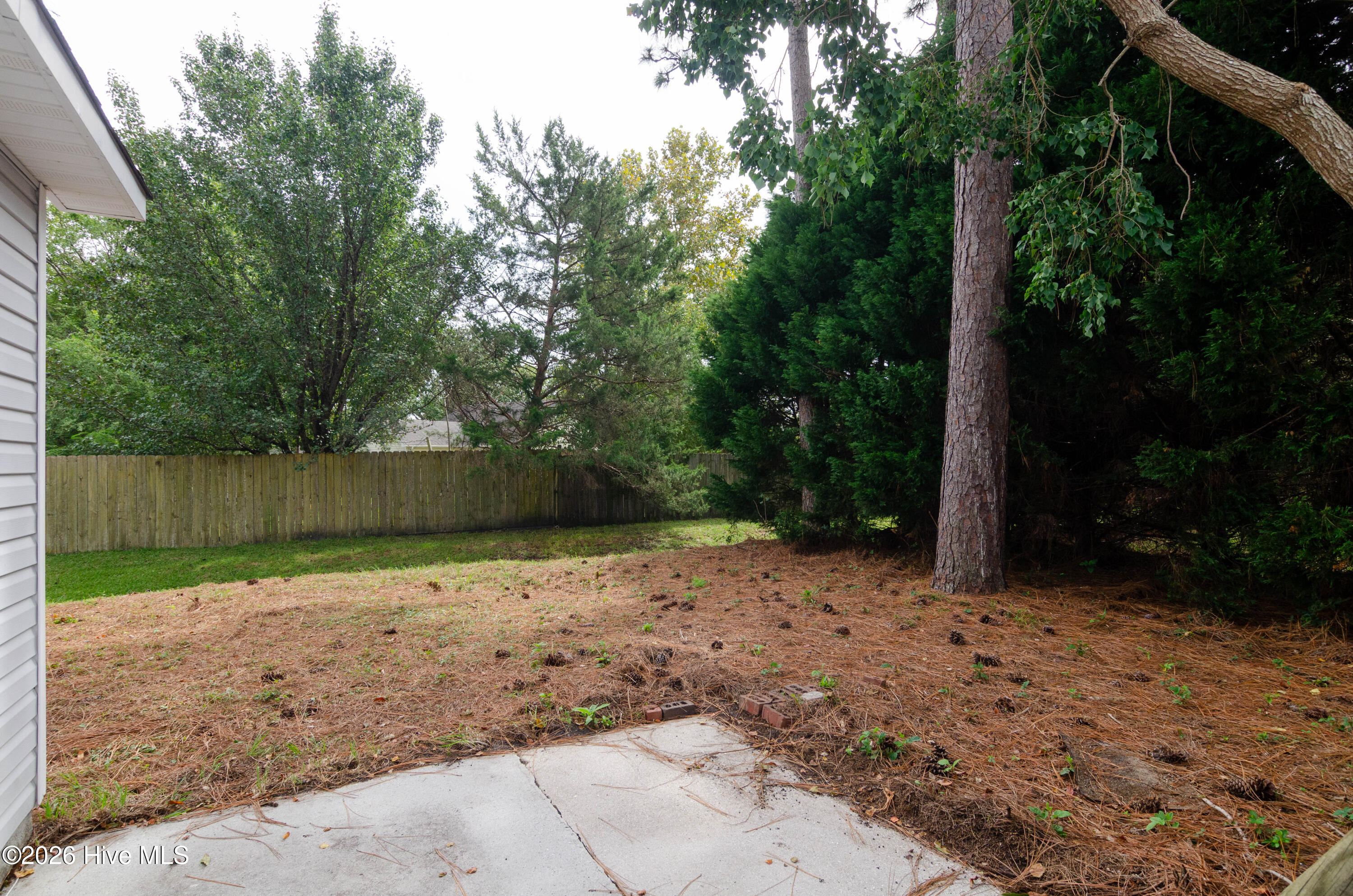 2422 White Road Property Photo 18