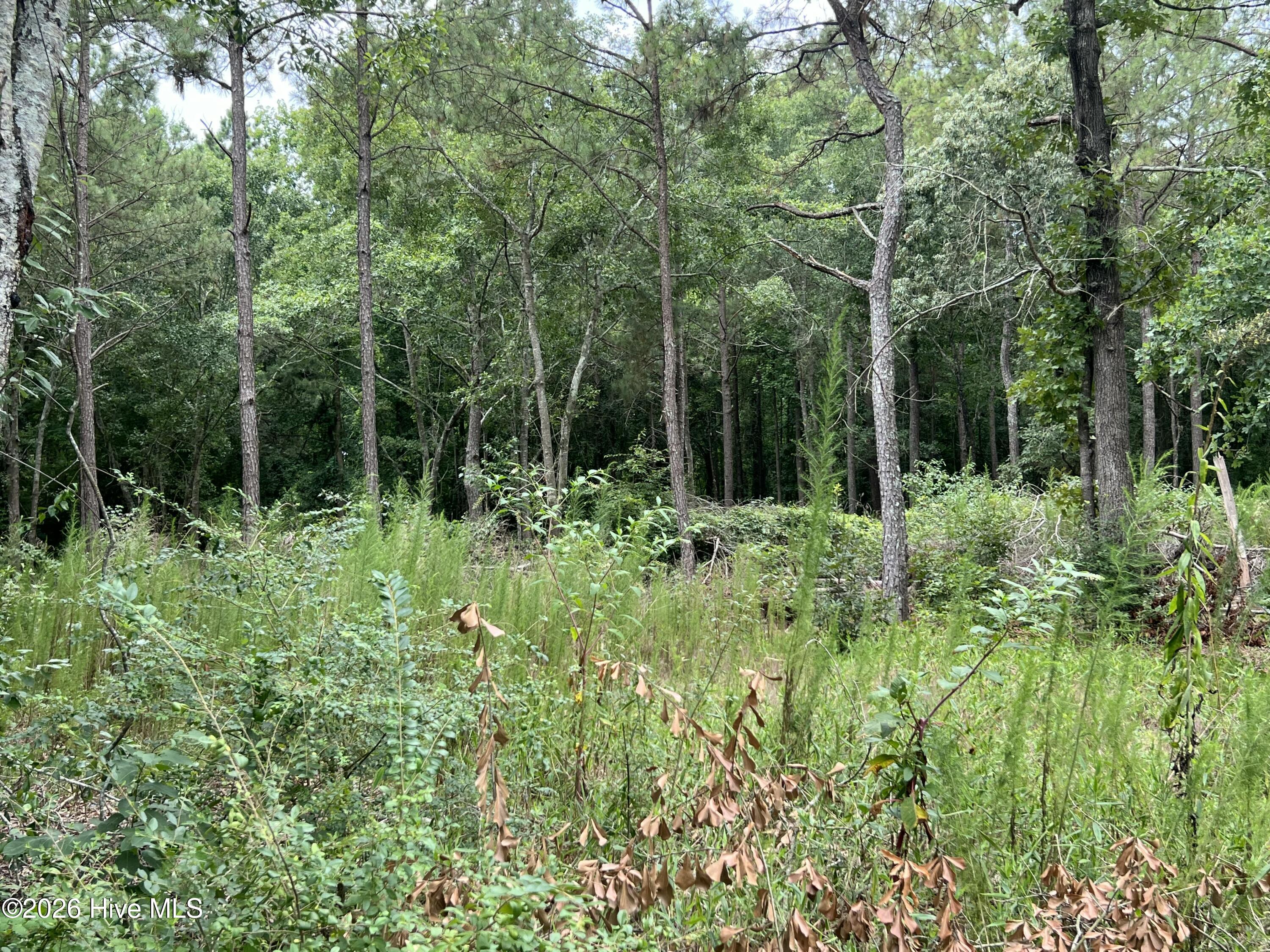 Lot 17 17 Brookwind Lane Property Photo 4