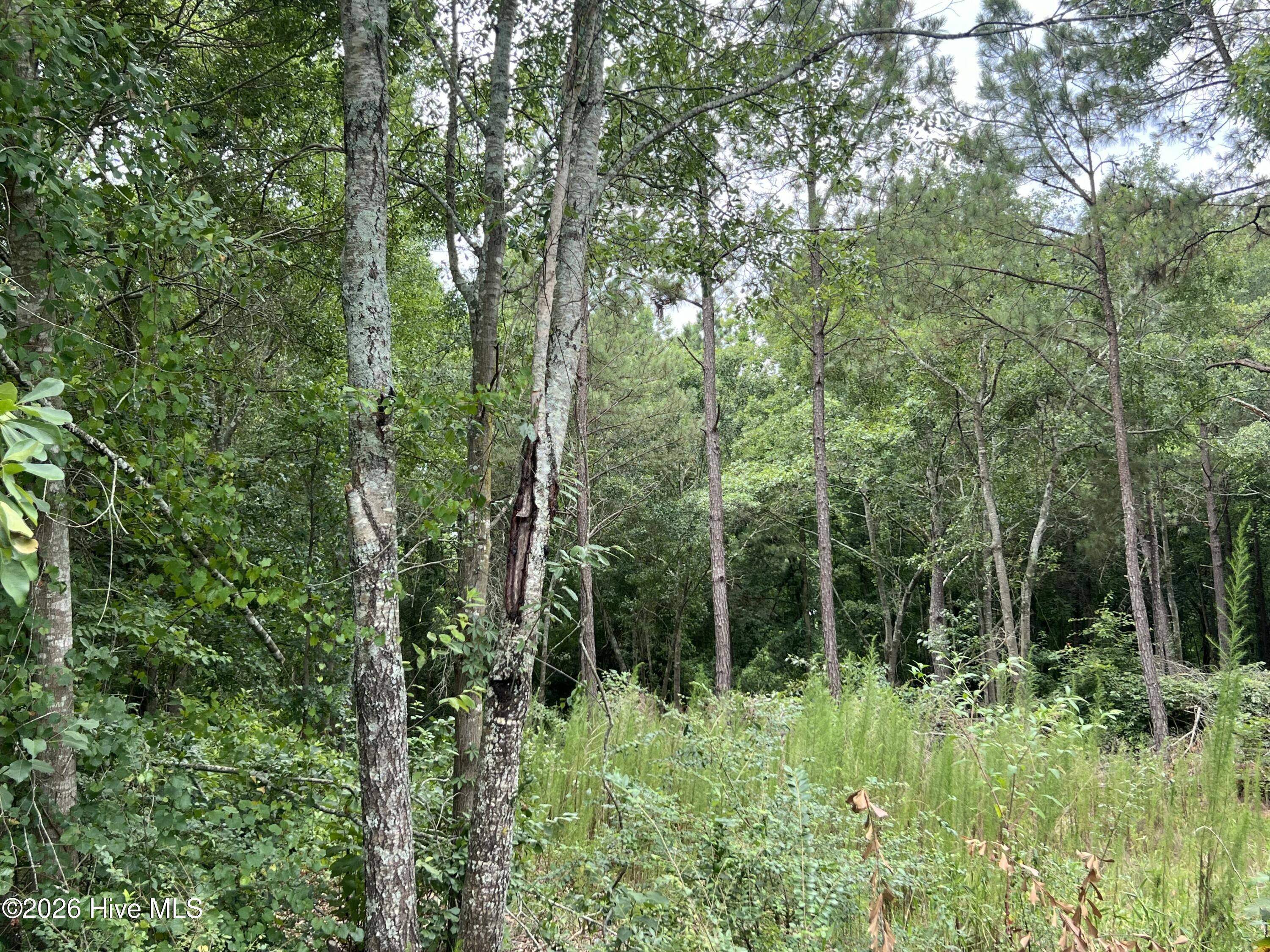 Lot 17 17 Brookwind Lane Property Photo 5