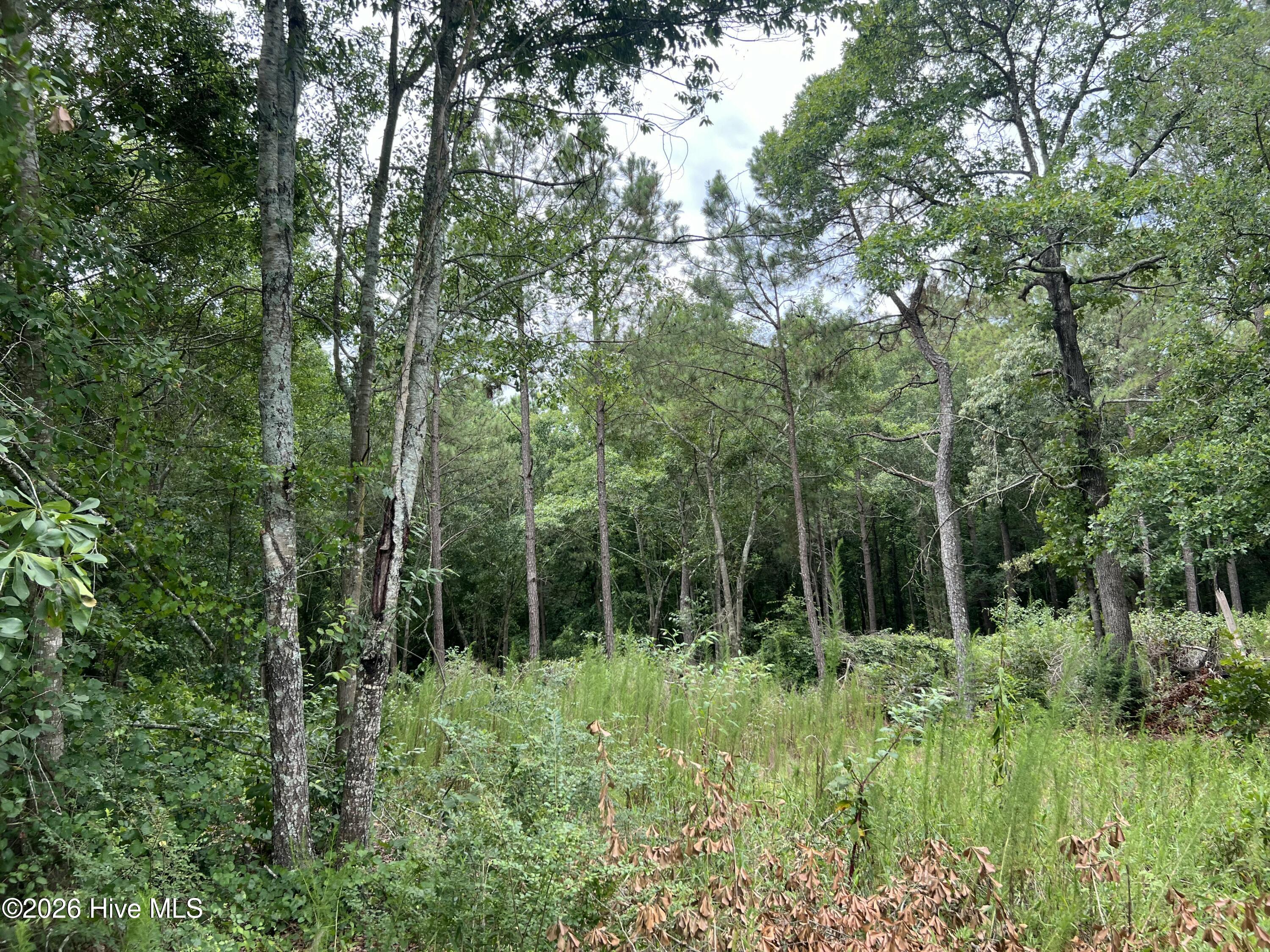 Lot 17 17 Brookwind Lane Property Photo 6