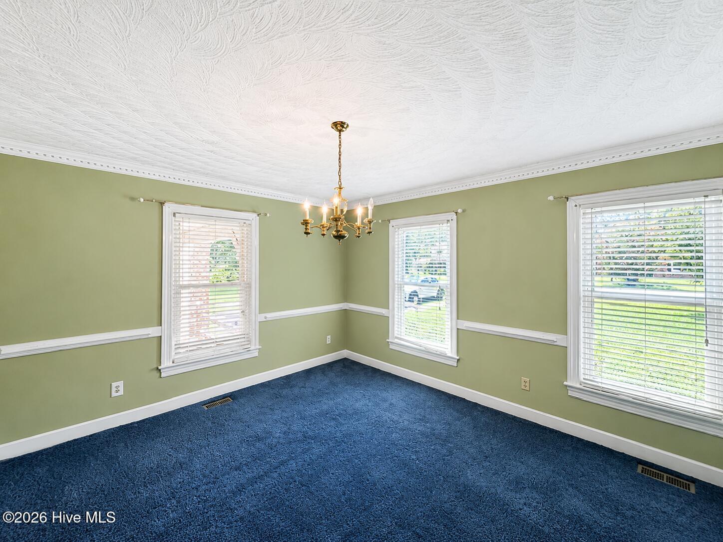 132 Albemarle Drive Property Photo 4