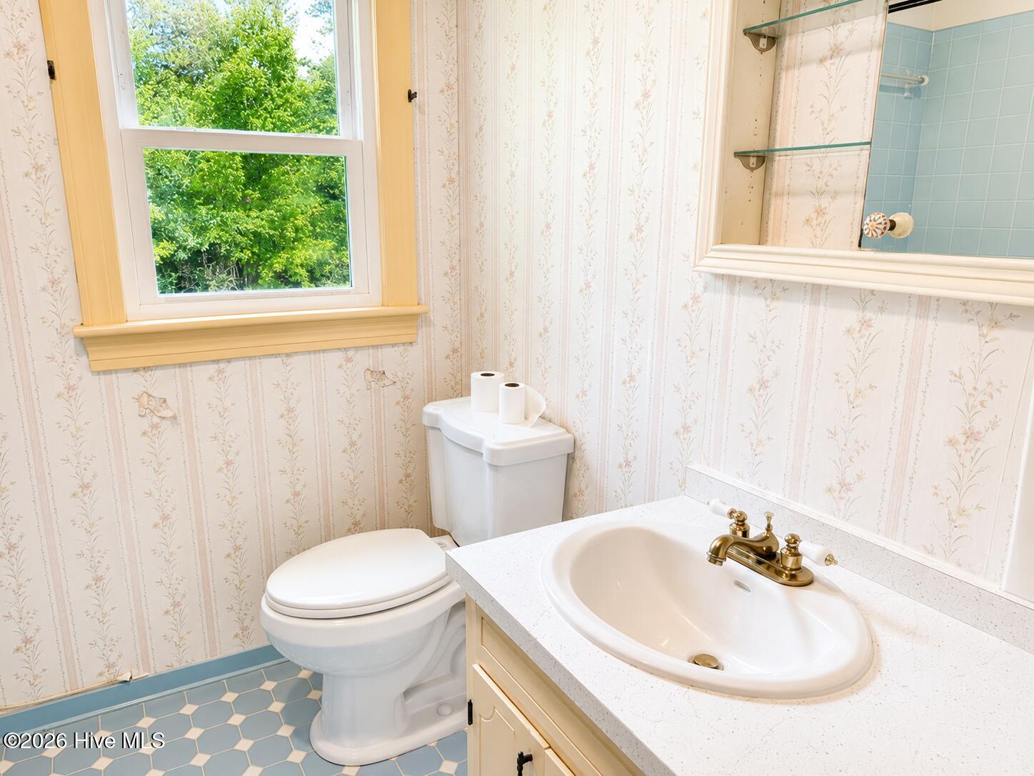132 Albemarle Drive Property Photo 15