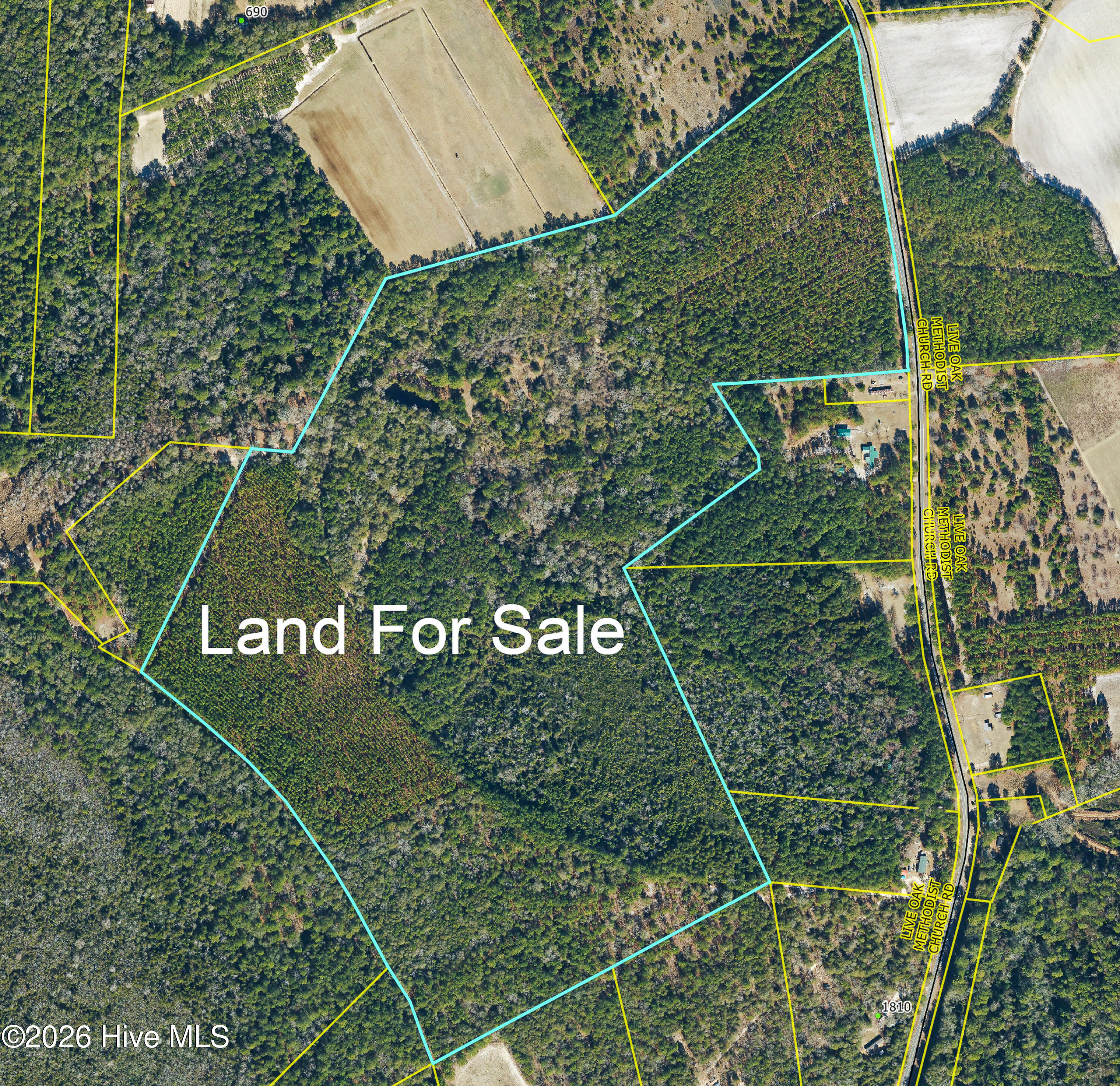 0 Live Oak Methodist Church Road Property Photo 1