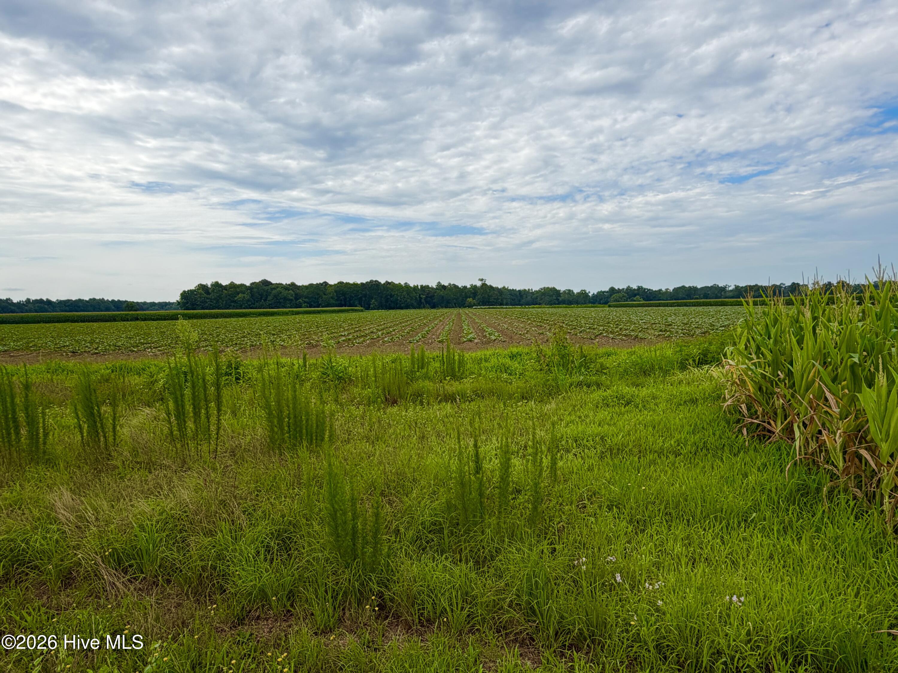 478 Davis Mill Road Property Photo 16