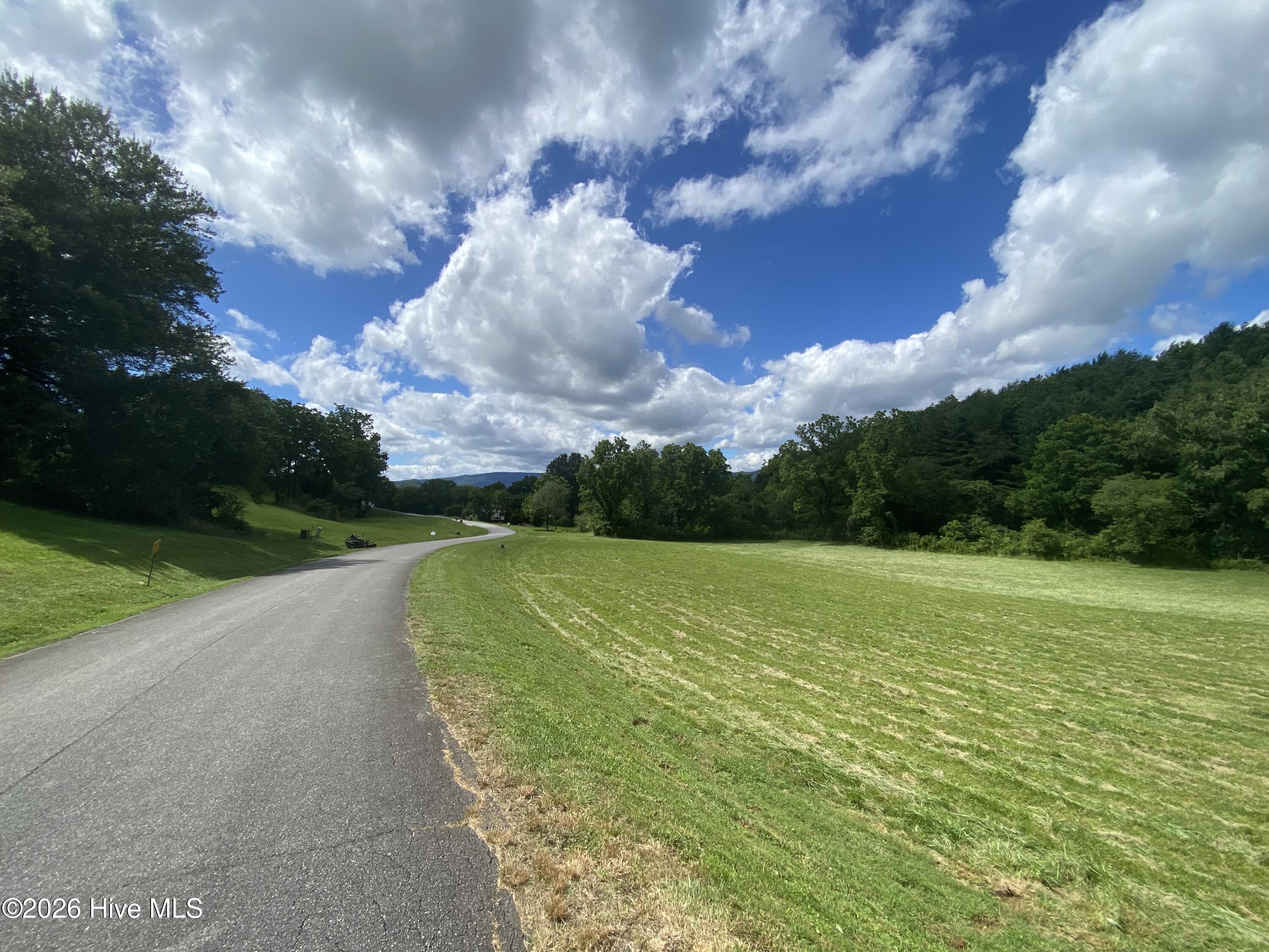 Lot 24&26 24+26 Mcglamery Farm Drive Property Photo 10