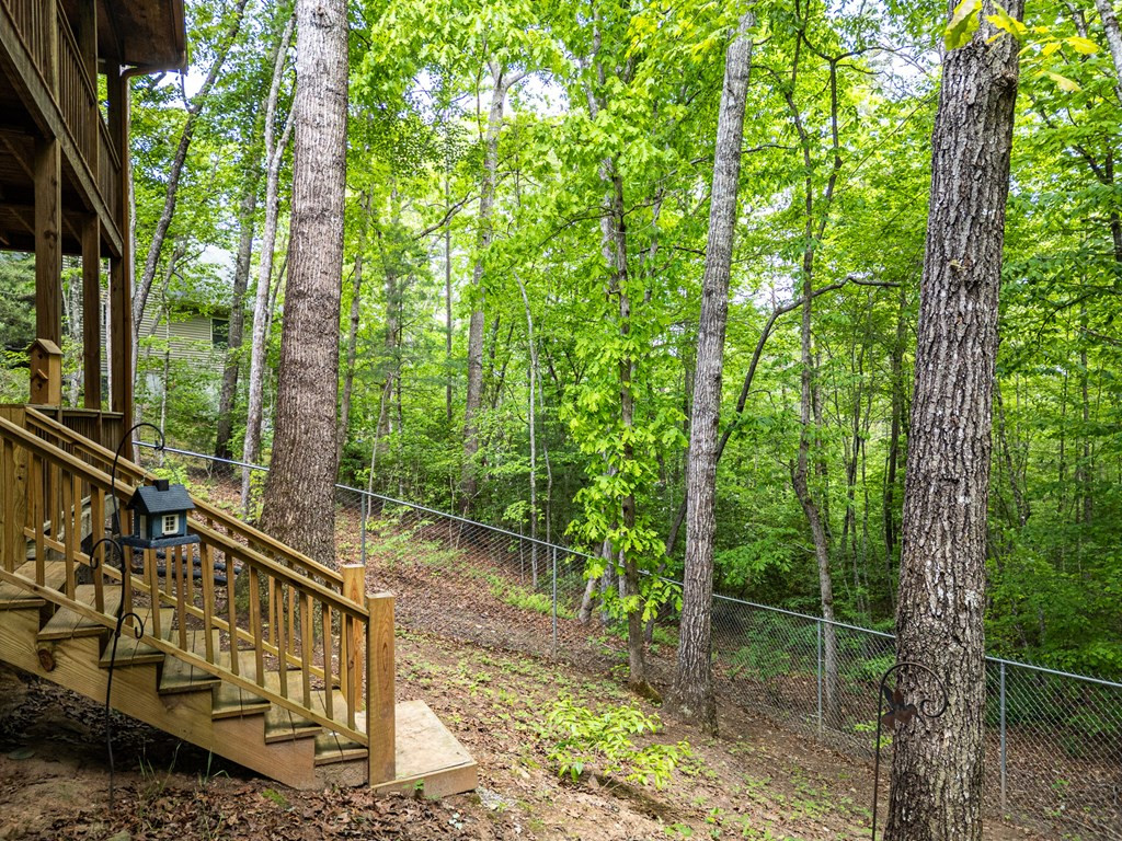 198 Dew Drop Lane Property Photo 31