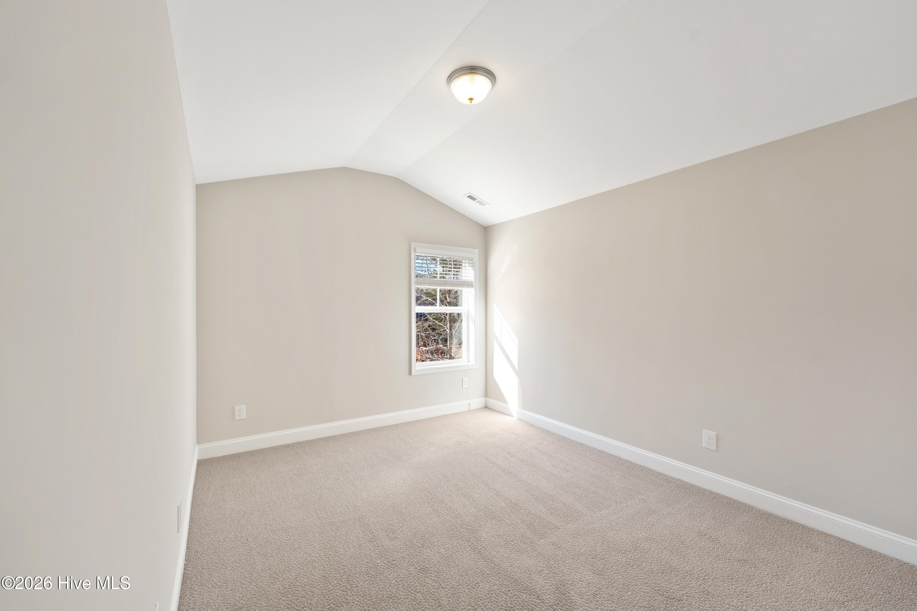 37 Twisted Oak Court Property Photo 23