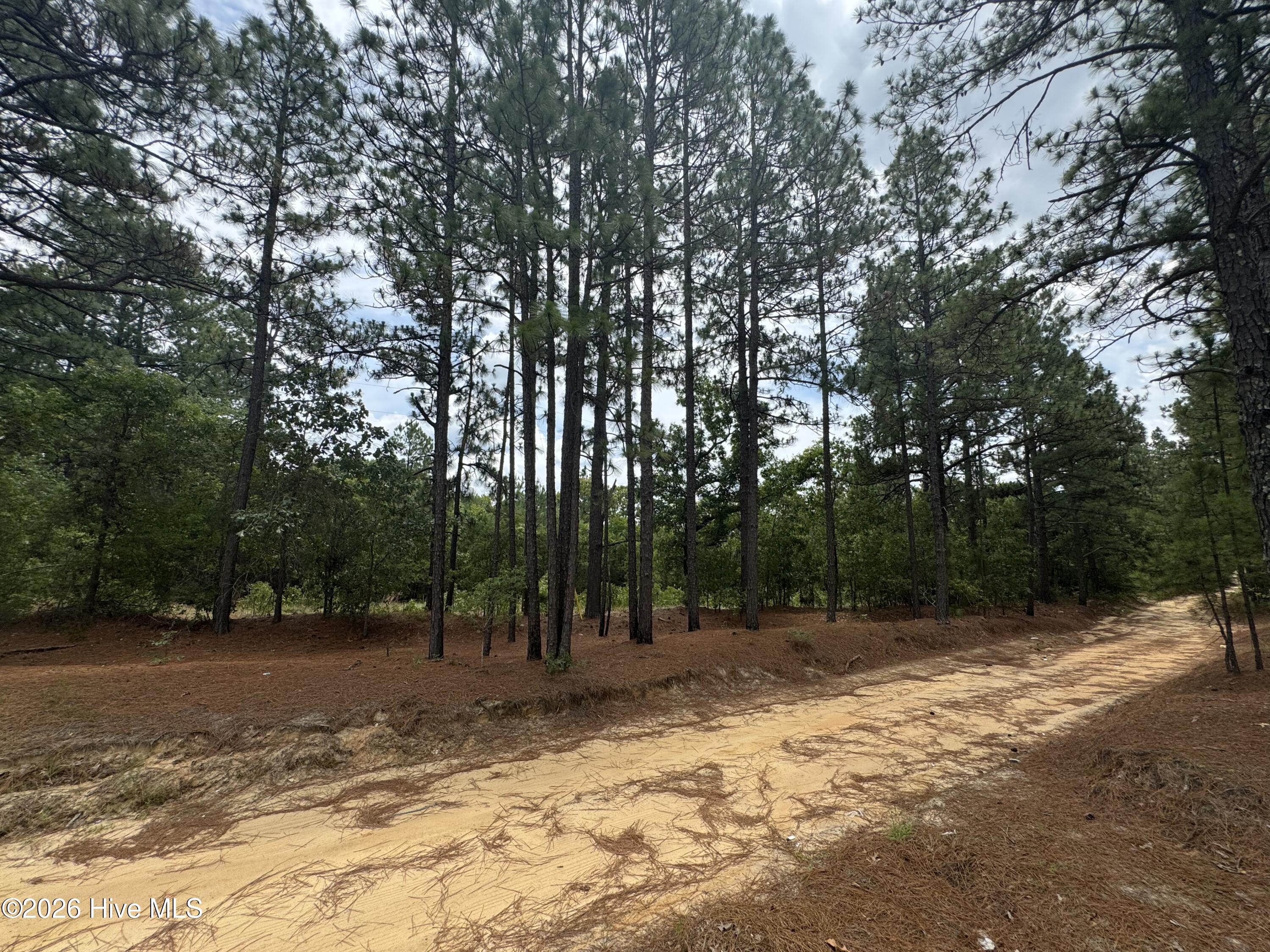 000 Lizzie Jeter Lane Property Photo 1