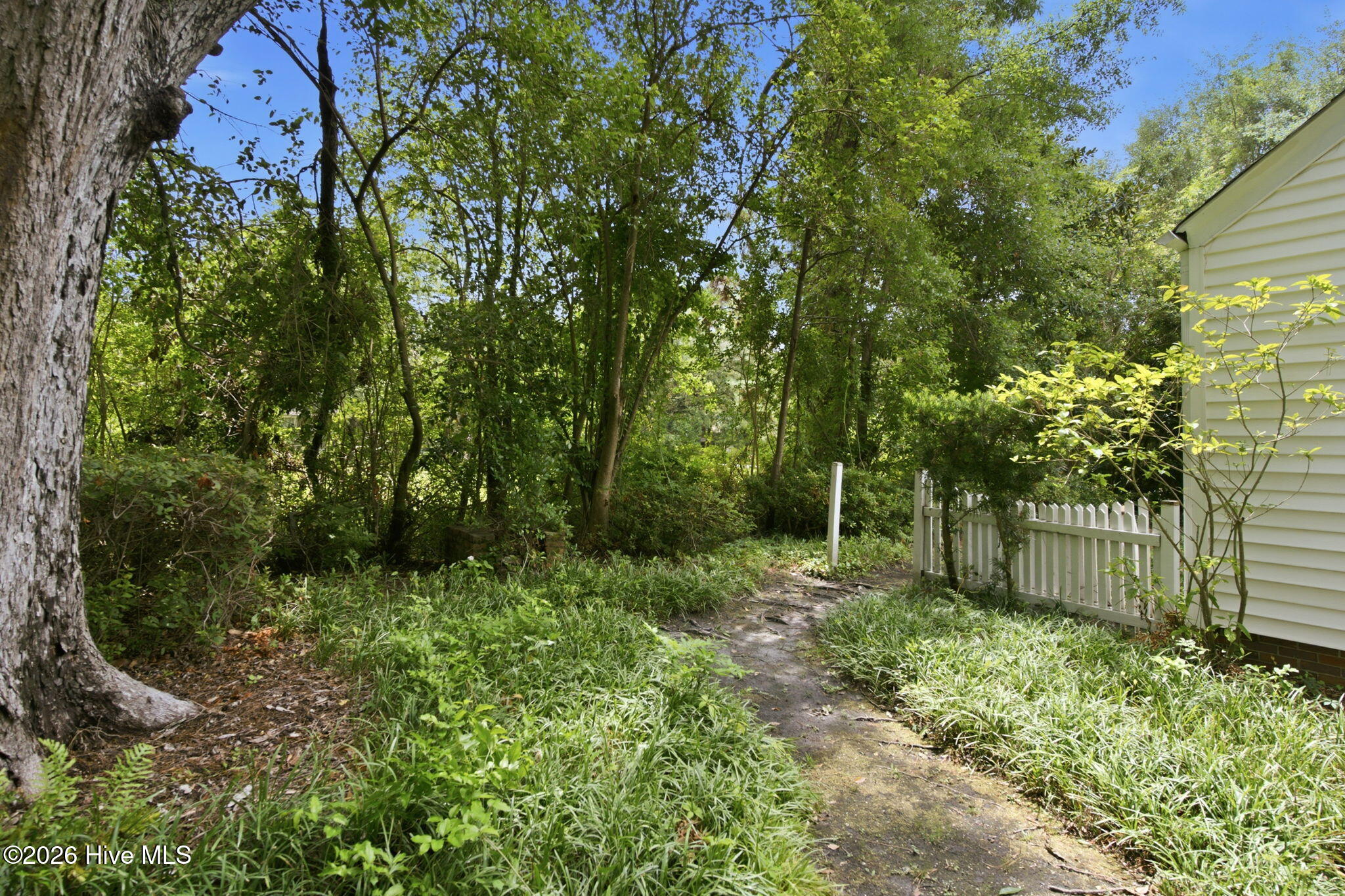 4201 Wrightsville Avenue Property Photo 32