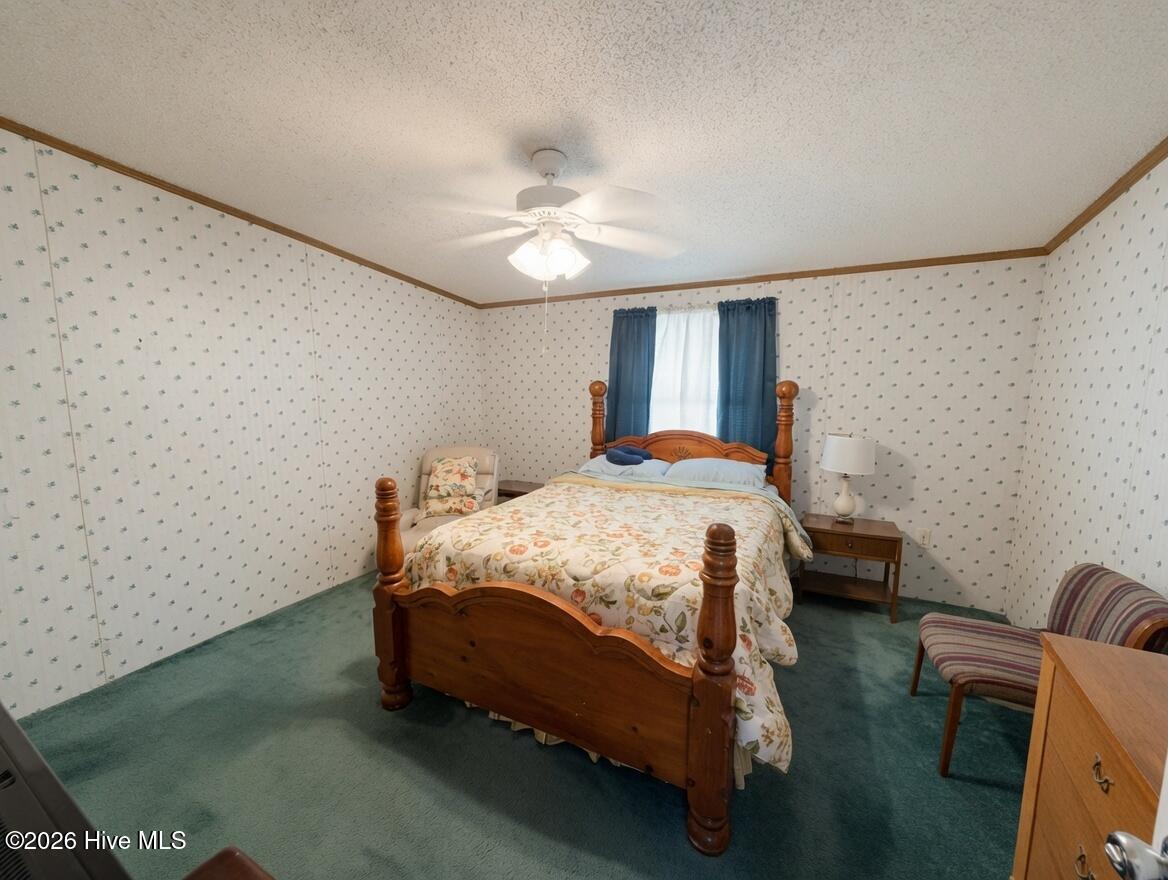 251 Cox Road Property Photo 17