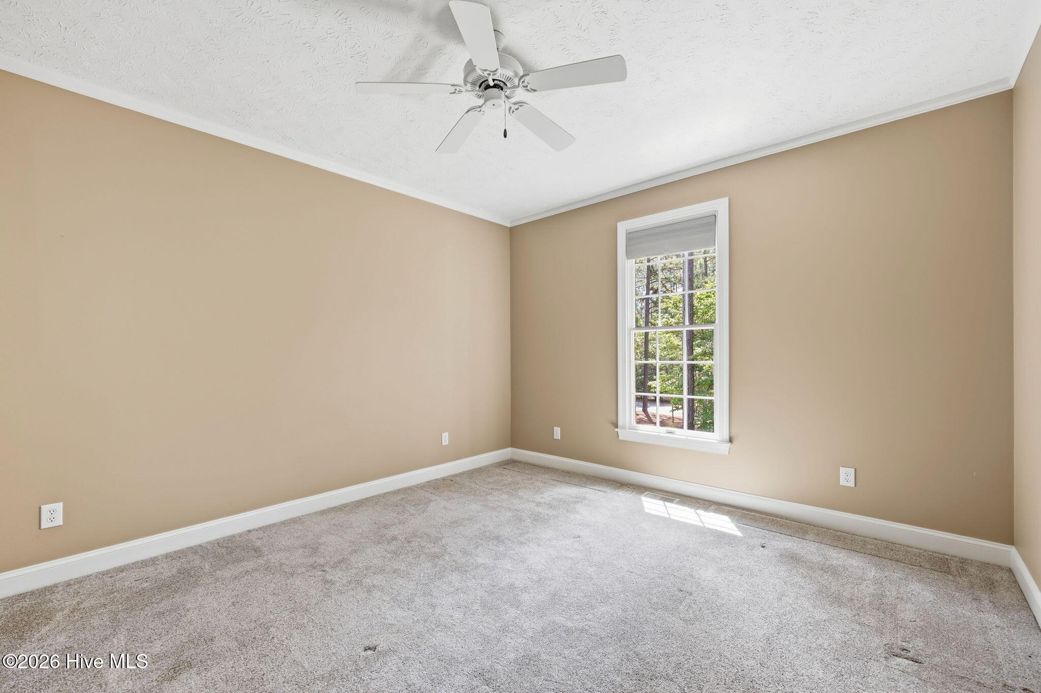 86 Pinewild Drive Property Photo 19