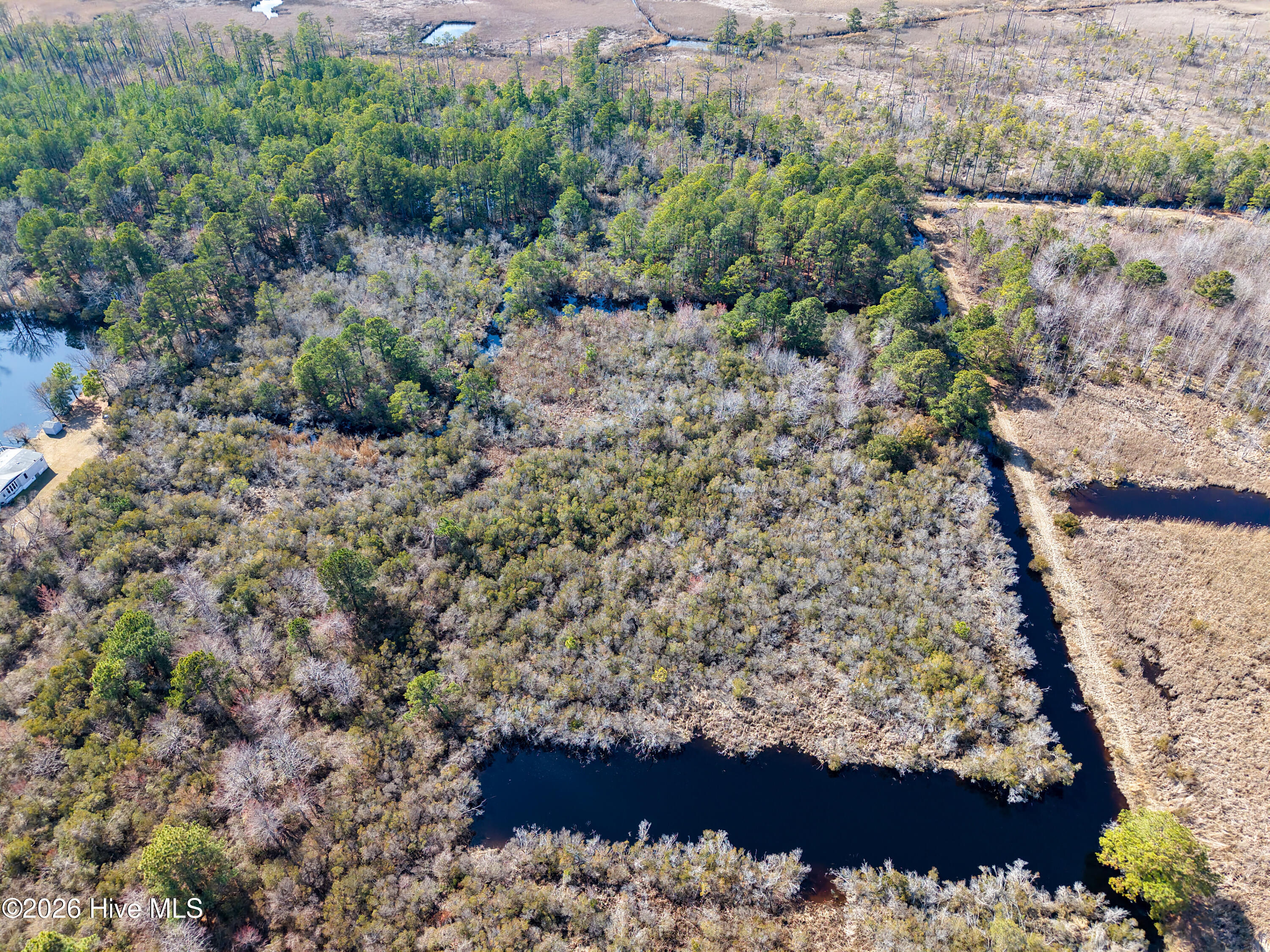959 Waterlily Road Property Photo 10