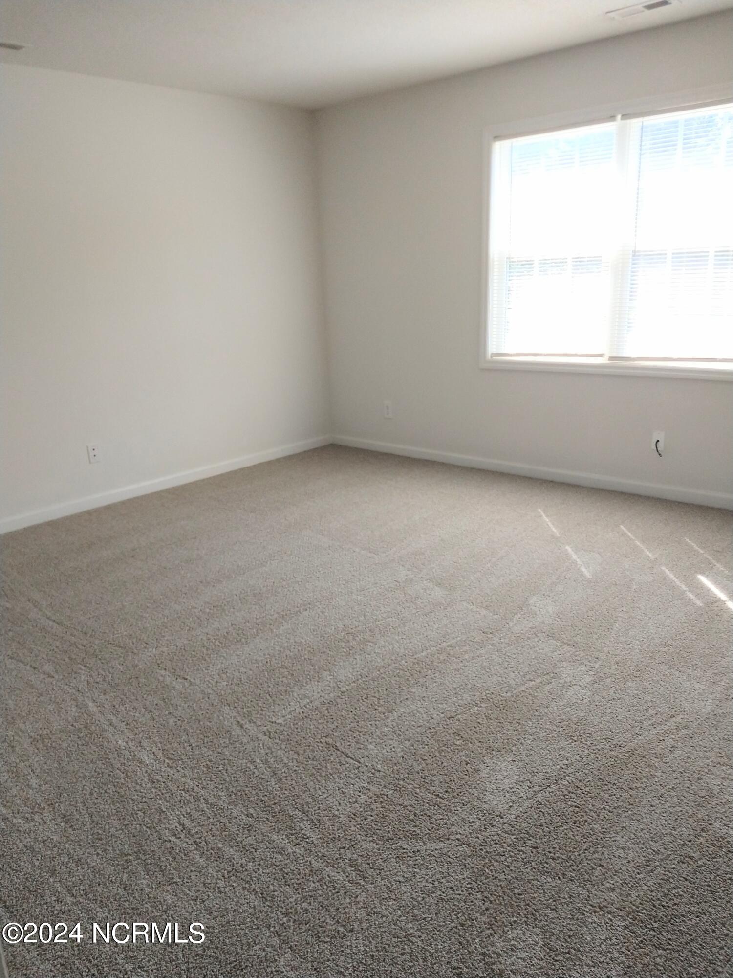 100 Creeker Town Way Property Photo 12