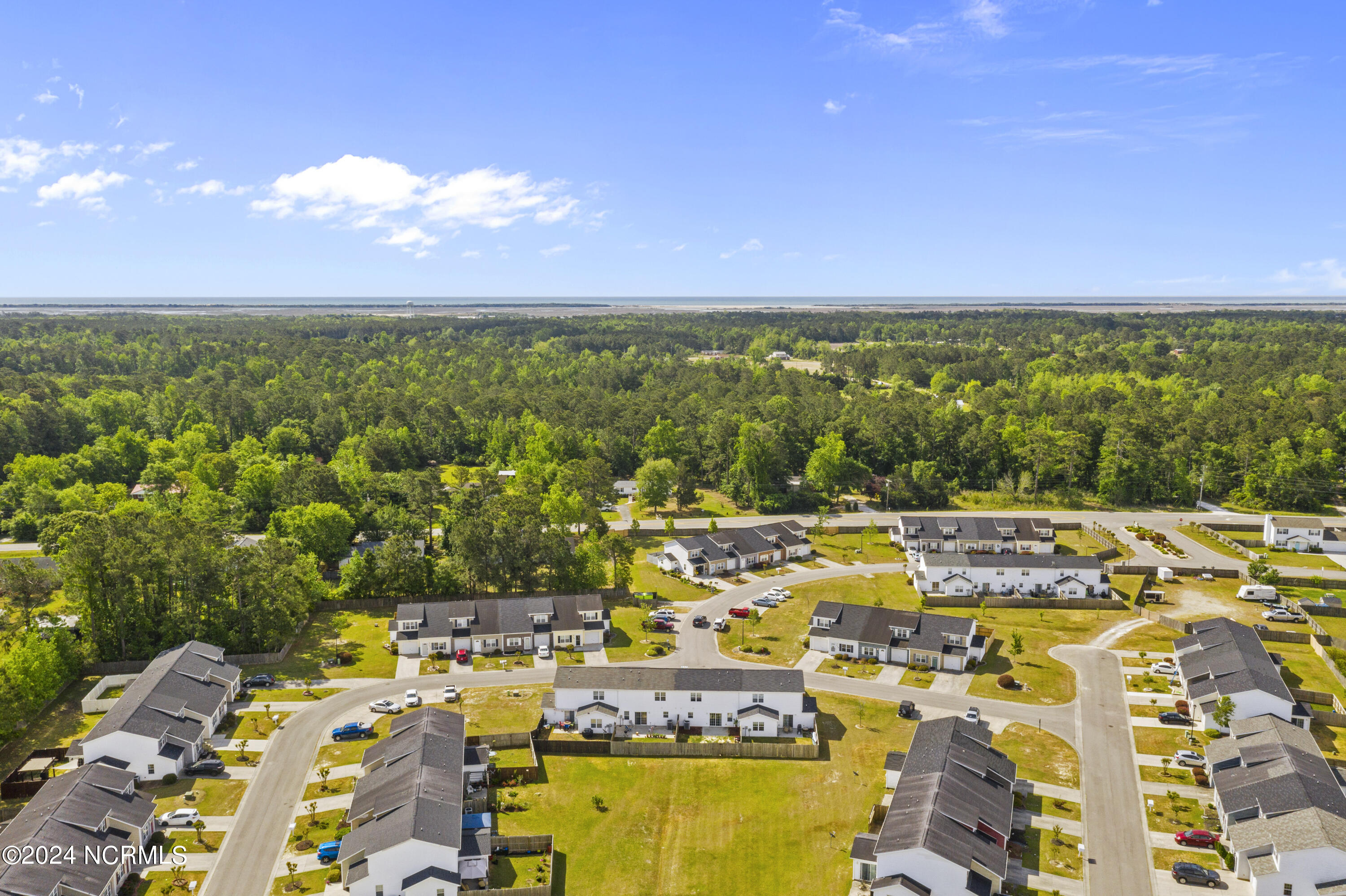 100 Creeker Town Way Property Photo 23
