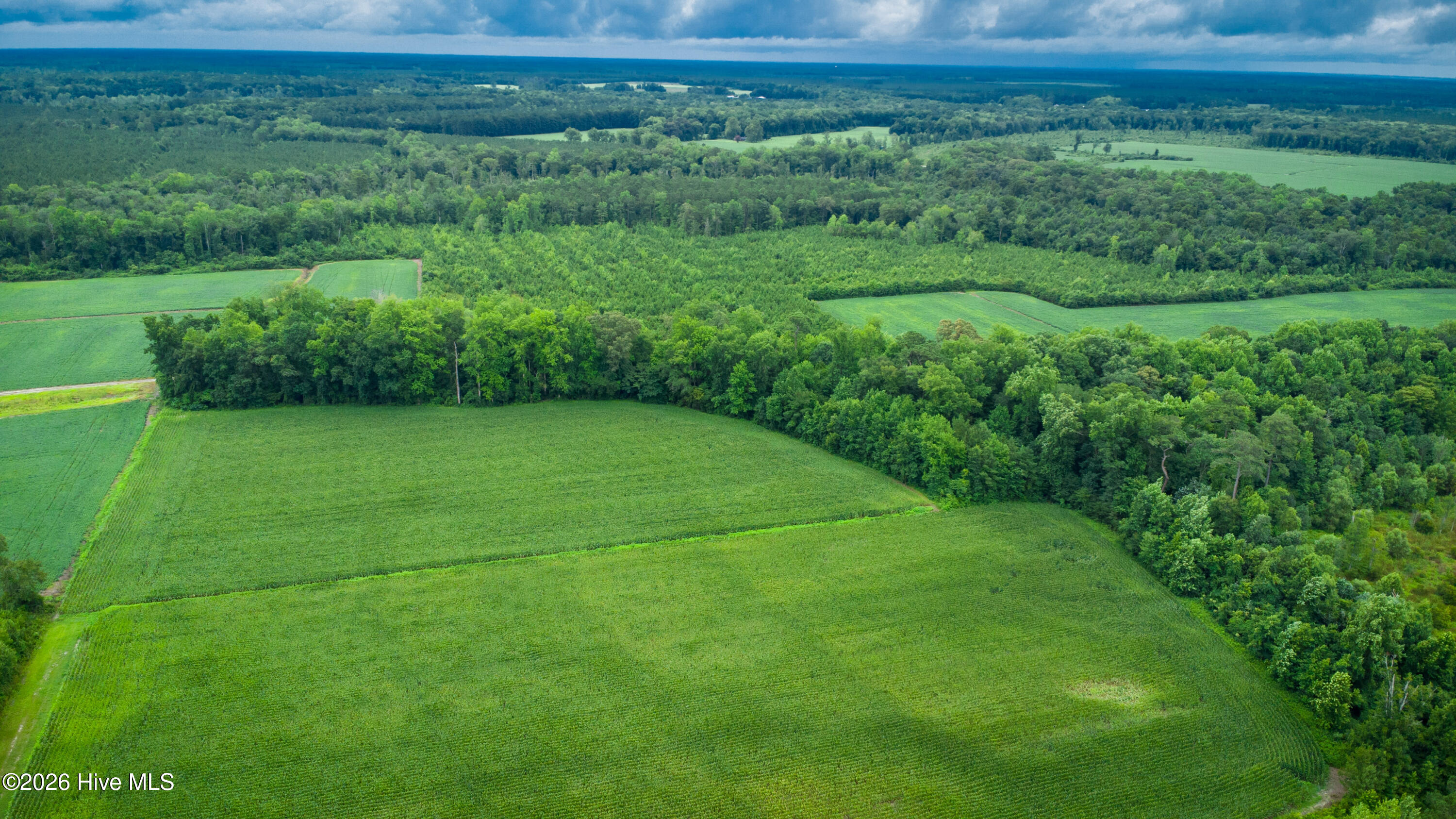 1601 Hills Neck Road Property Photo 22