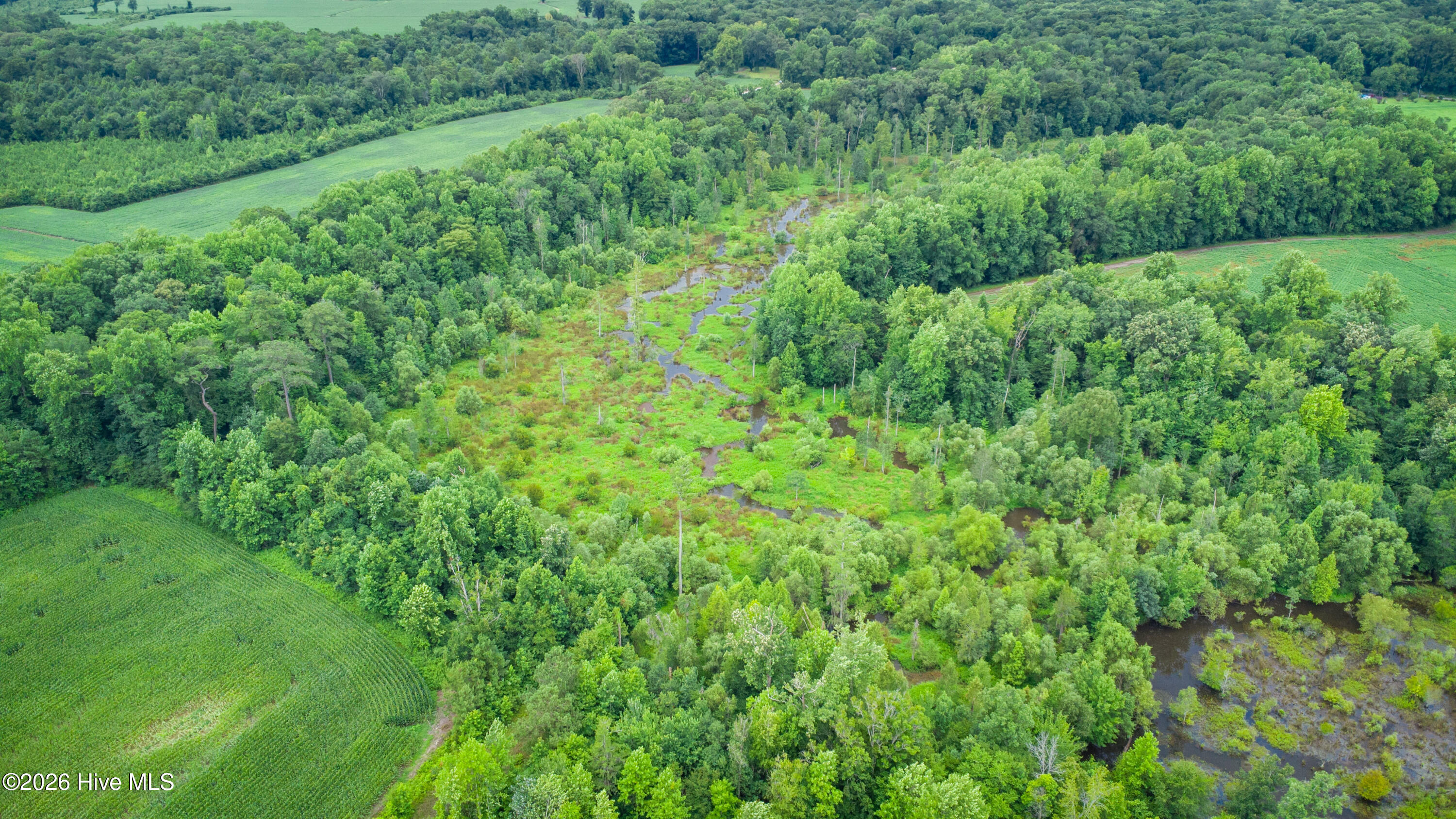 1601 Hills Neck Road Property Photo 31