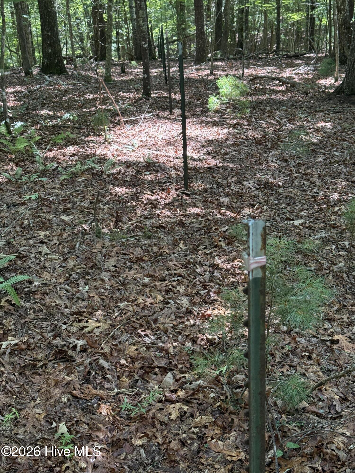 1 Friendship Church Road Property Photo 5