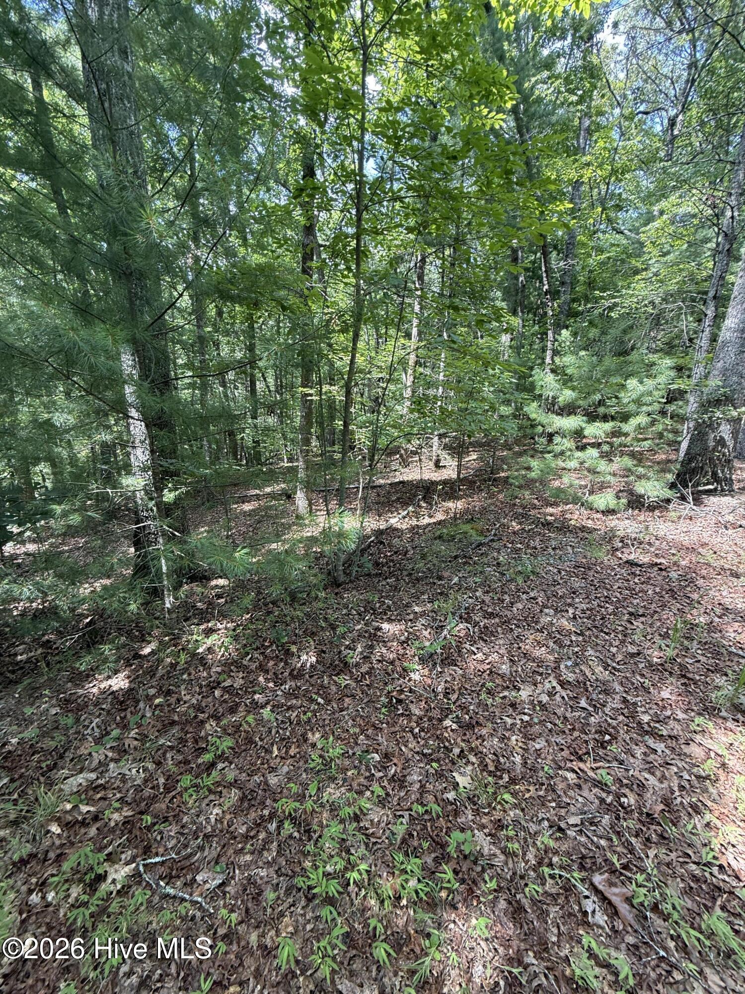 1 Friendship Church Road Property Photo 6