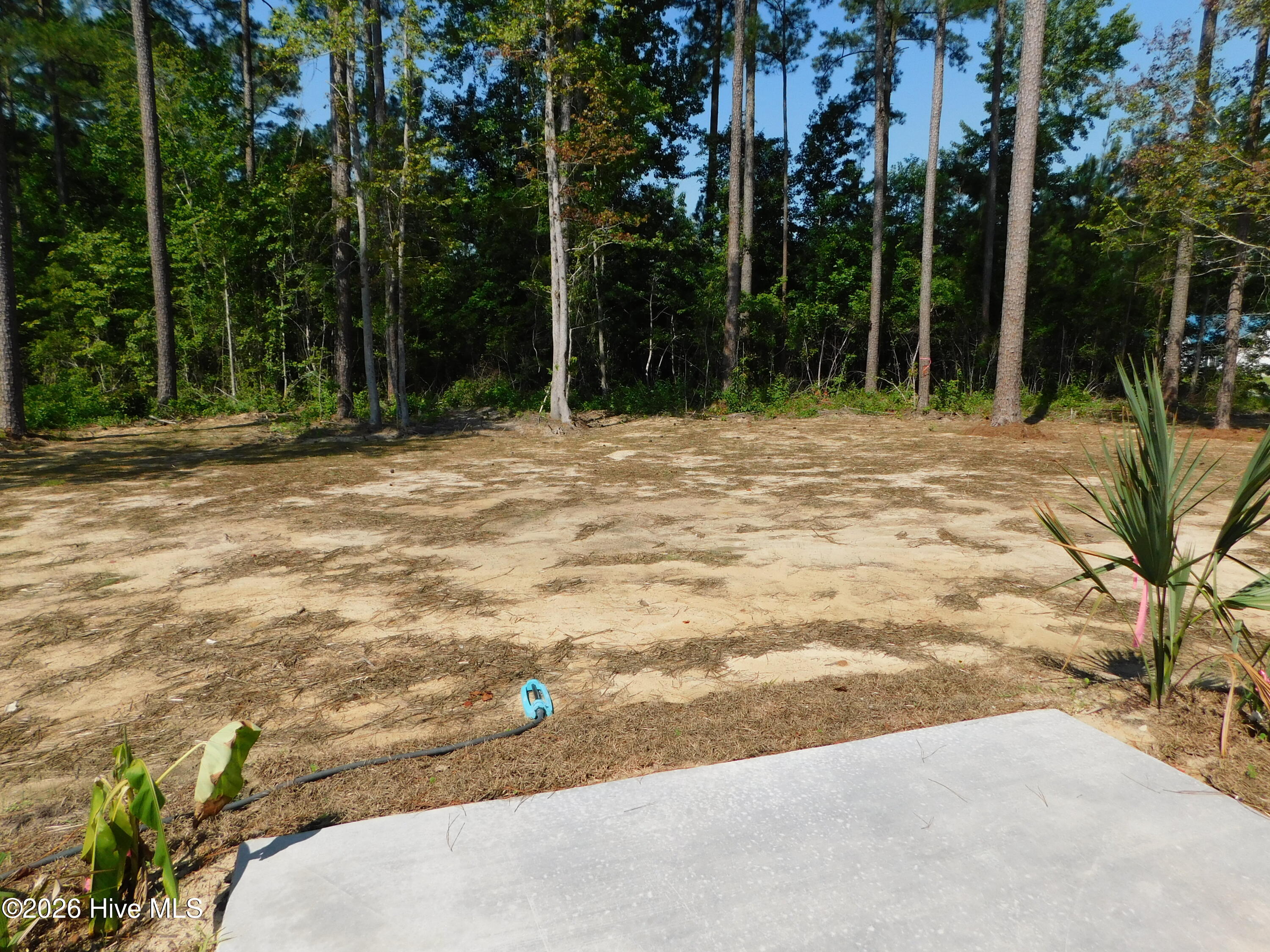 100 Palm Circle Property Photo 15