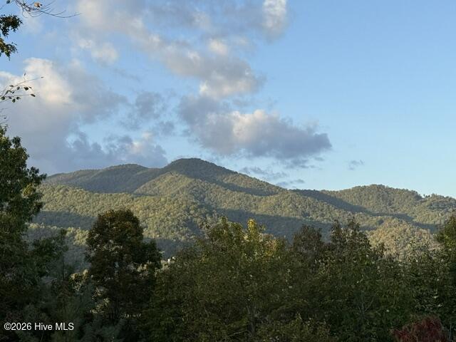 8 Property Photo 5