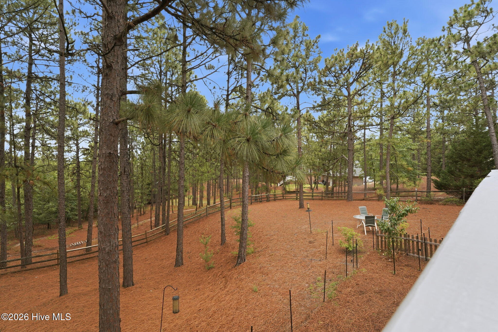 209 Longleaf Drive Property Photo 44