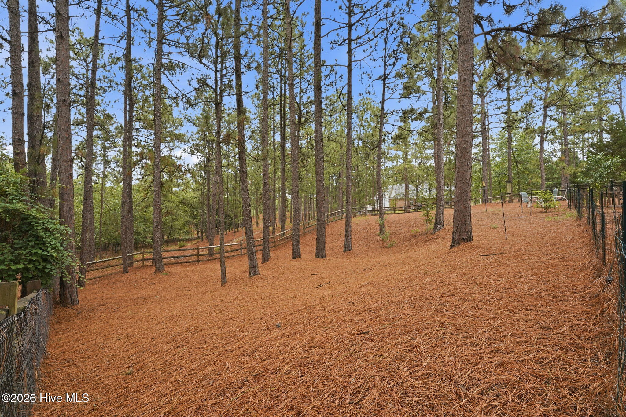 209 Longleaf Drive Property Photo 45