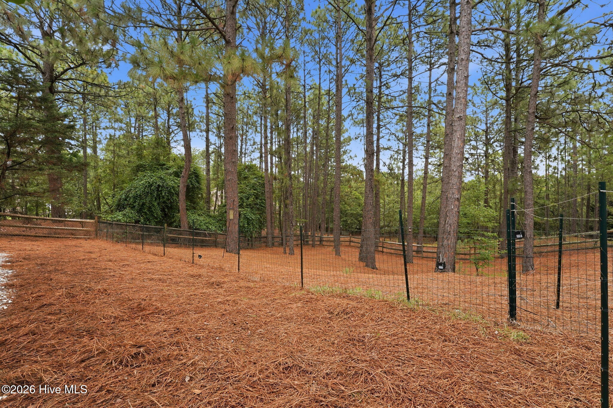 209 Longleaf Drive Property Photo 47