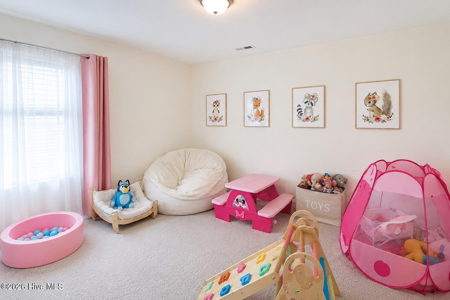 524 Harvest Meadow Crossing Property Photo 18