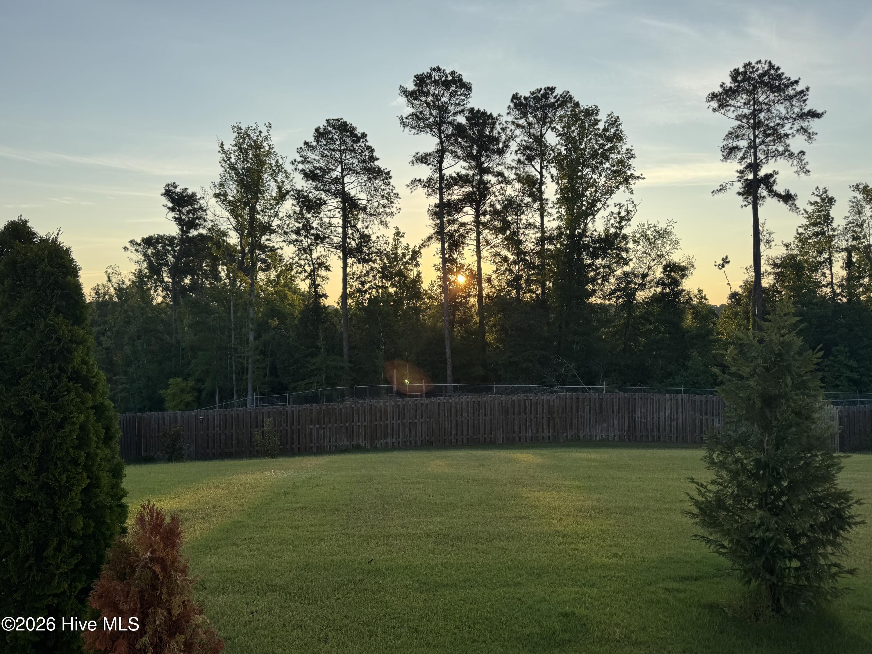 871 Lillian Park Drive Property Photo 46